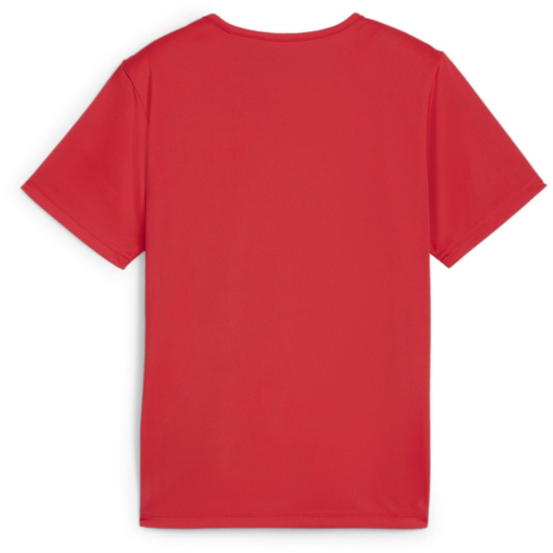 Puma Individualrise Graphic Jersey Jr T-Shirt Unisex Kids