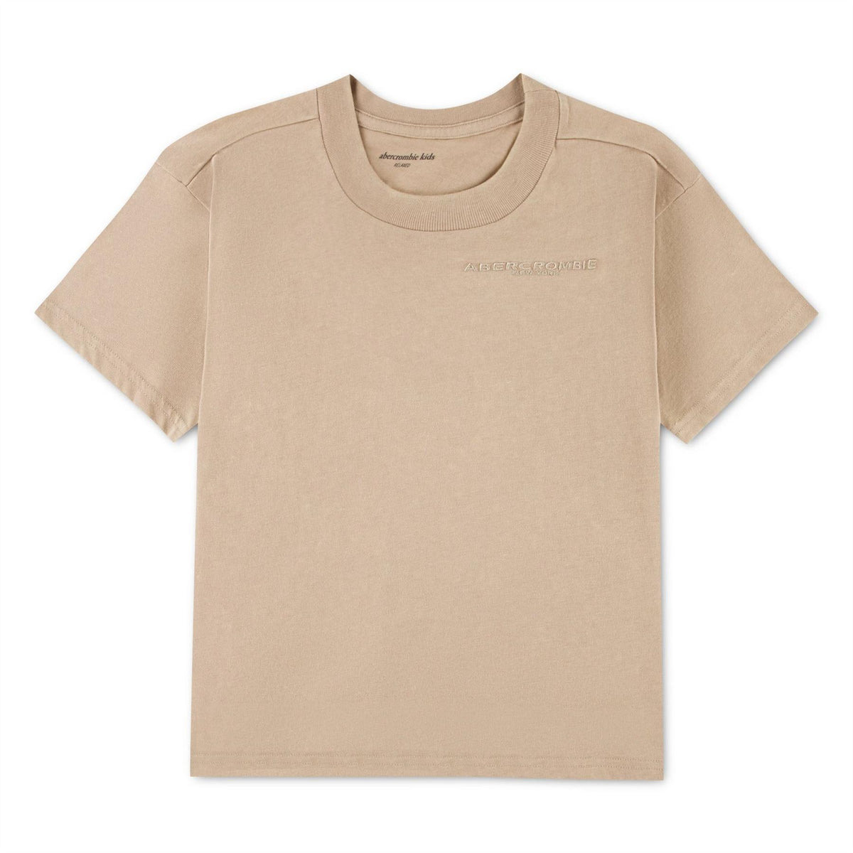 Abercrombie and Fitch T-Shirt