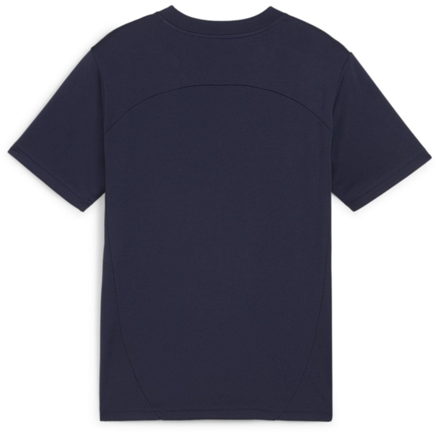 Puma Teamfinal Training Short Sleeve Performance T-Shirt