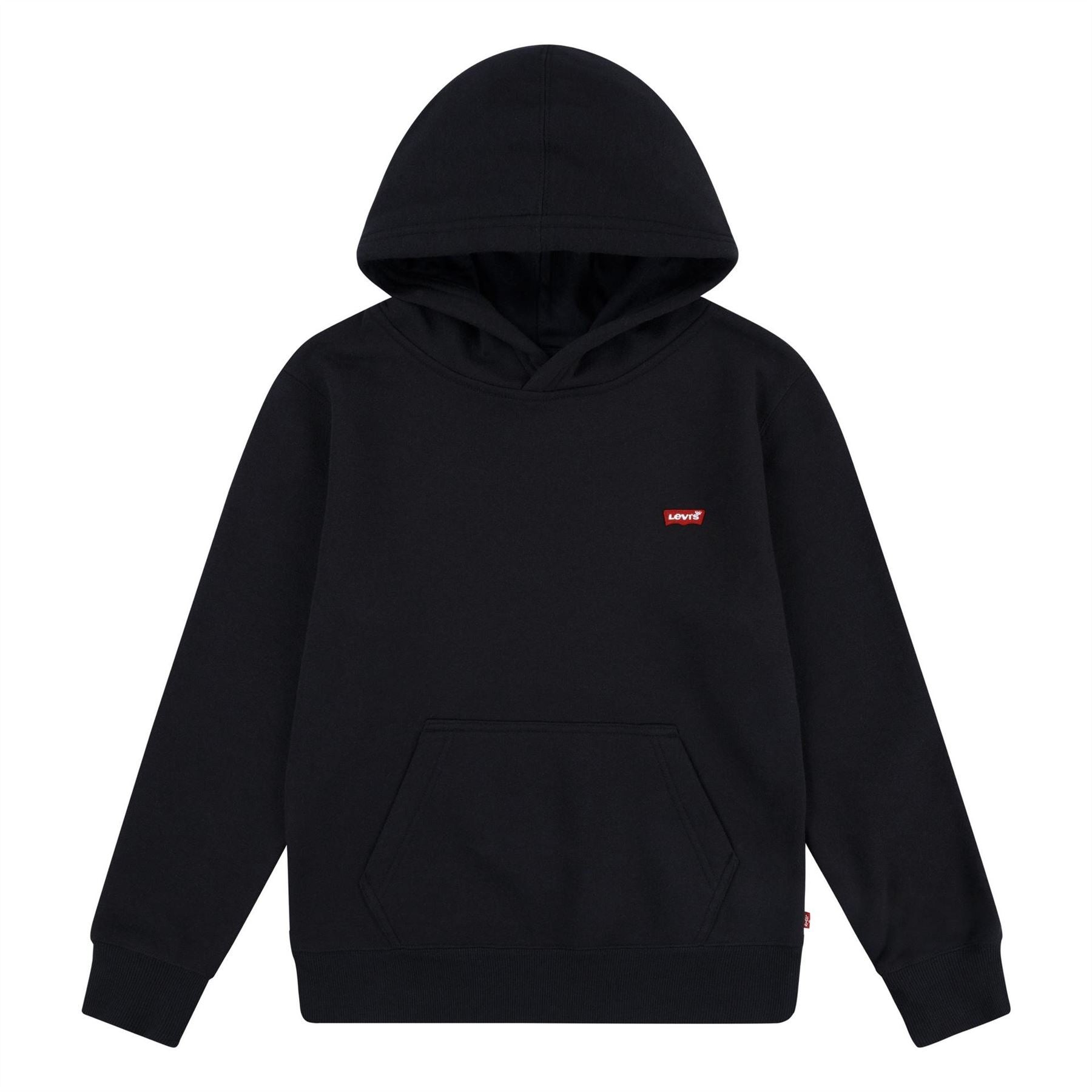 Levis Junior Regular Fit Logo Hooded Sweatshirt