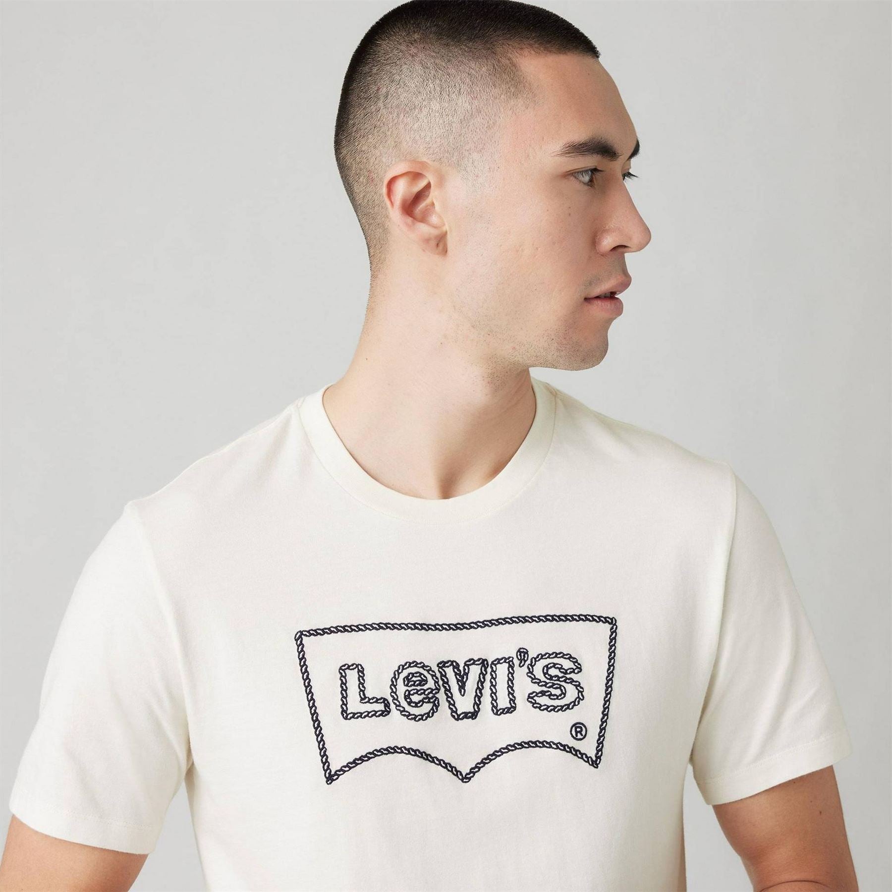 Levis Graphic Crewneck Regular Fit T-Shirt