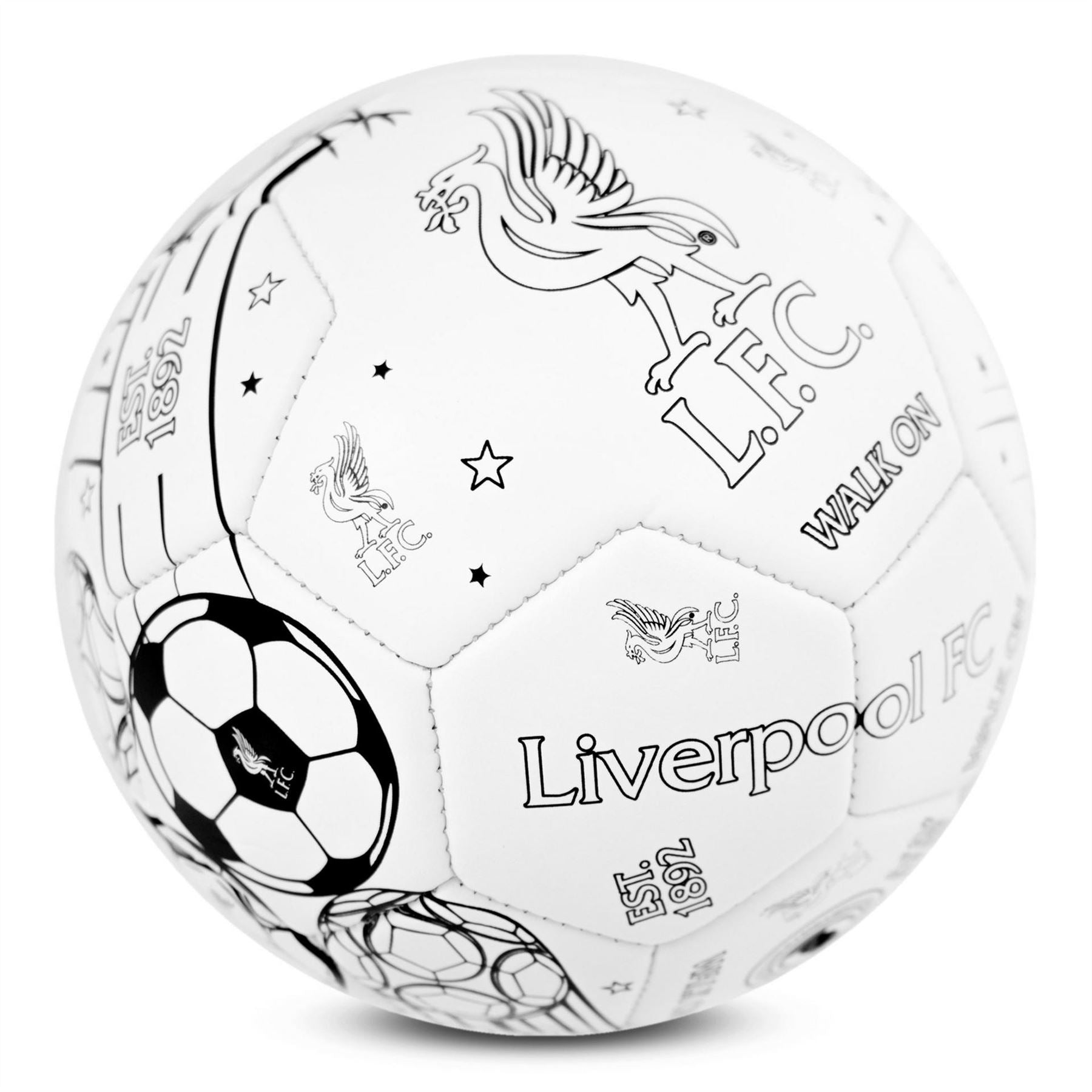 Team Colour In Football Supporter Set