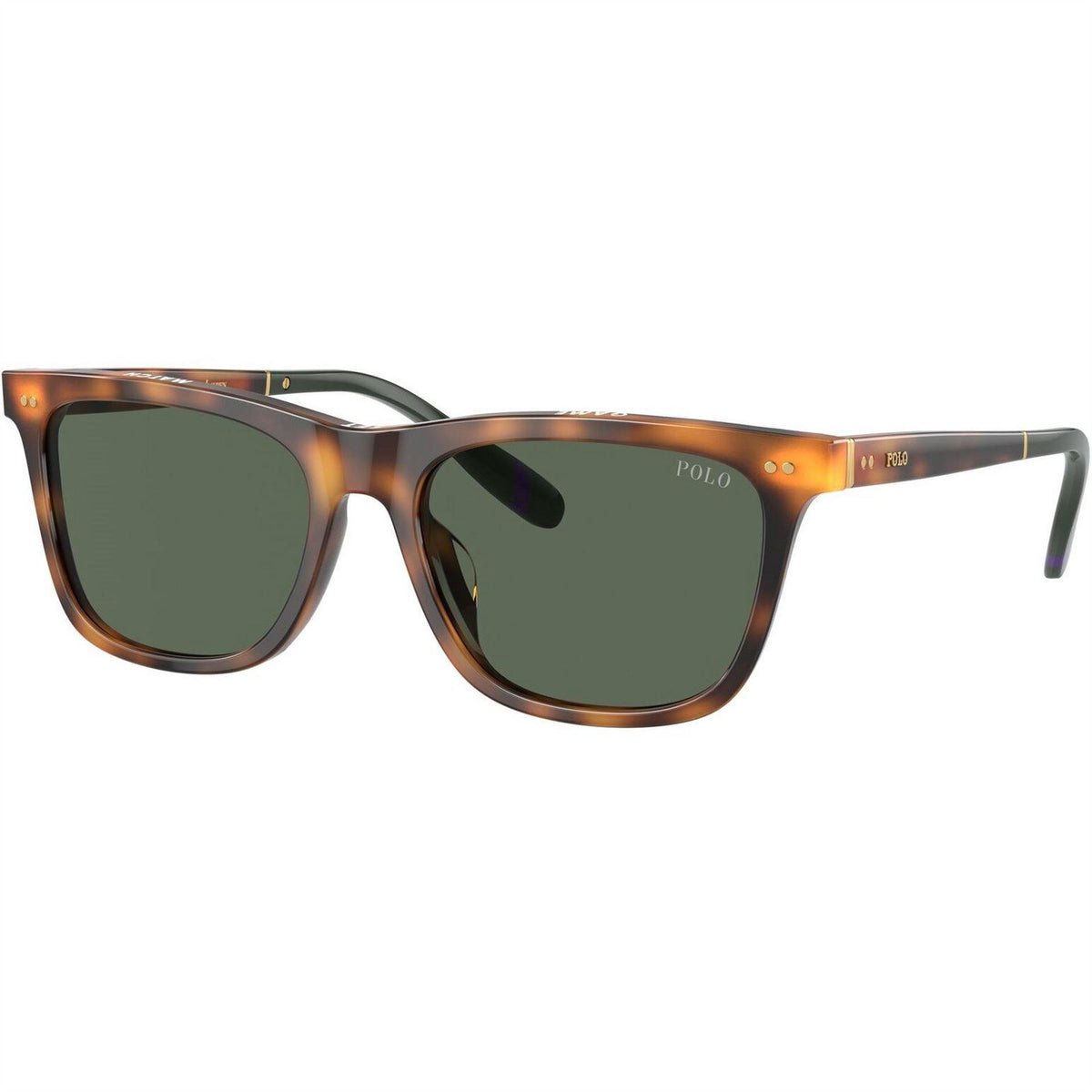 Polo Ralph Lauren 0ph4205u Wayfarer Sunglasses