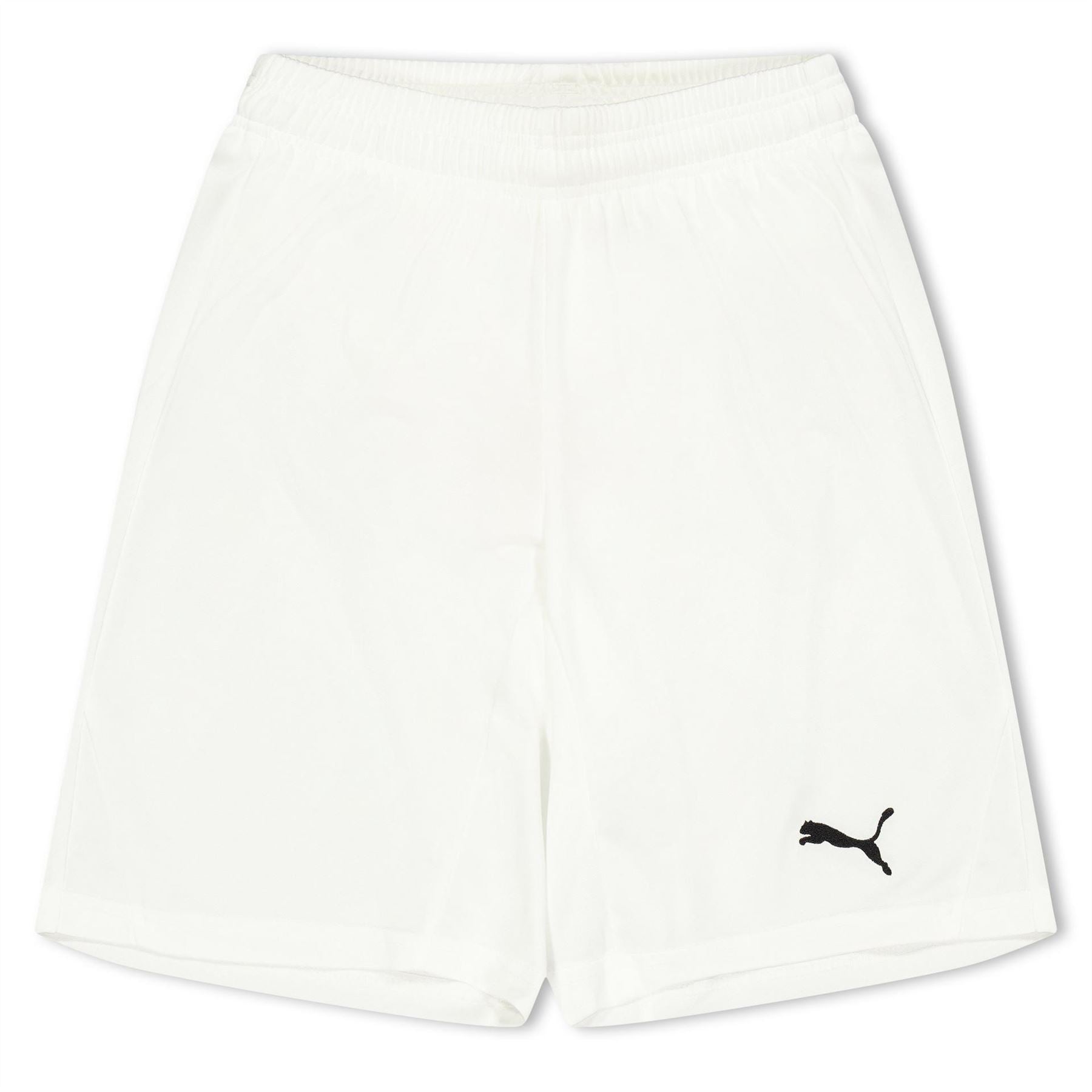 Puma Fb Team Shorts With Brief Juniors