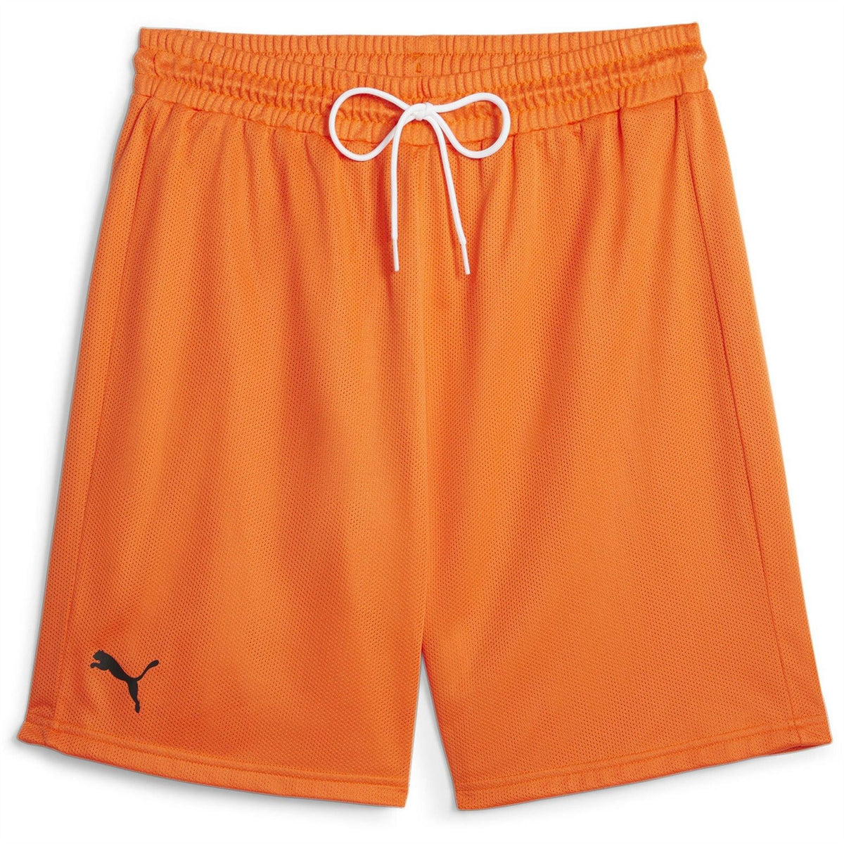 Puma Hoops Team Practice Basketball Shorts