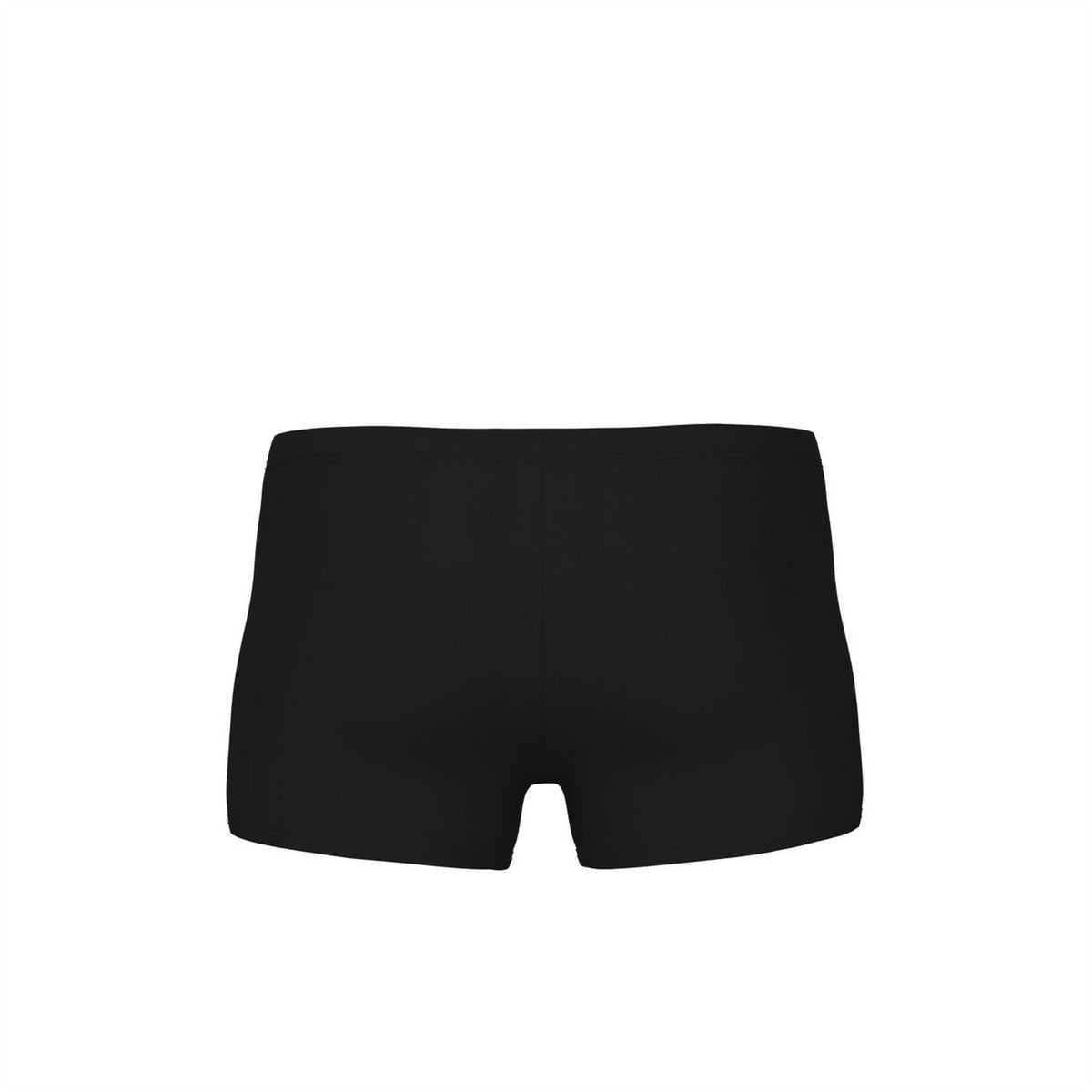 Arena Poseidonia Swim Shorts