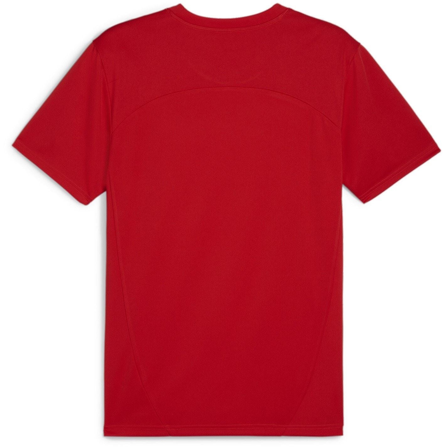 Puma Teamfinal Training Short Sleeve Performance T-Shirt