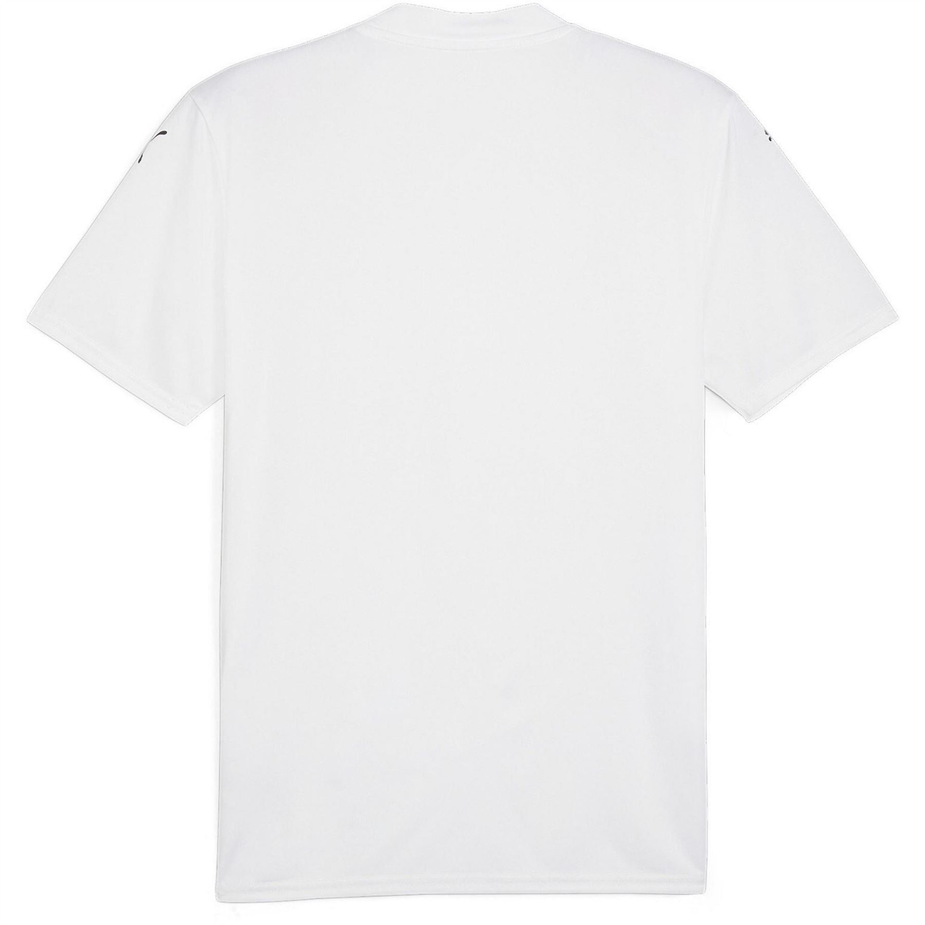 Puma Mens Teamglory Jersey T-Shirt