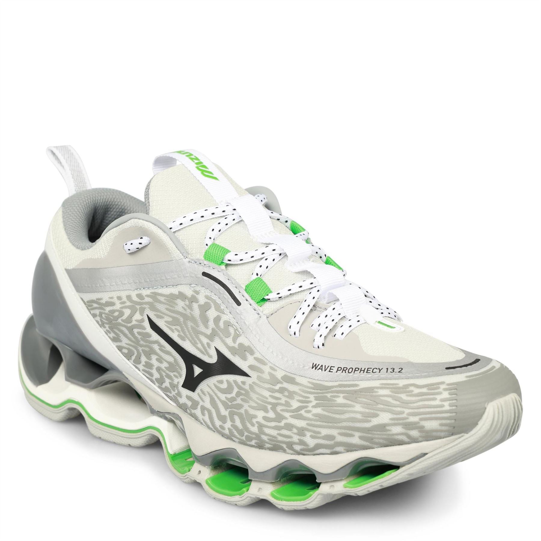 Mizuno Wave Prophecy