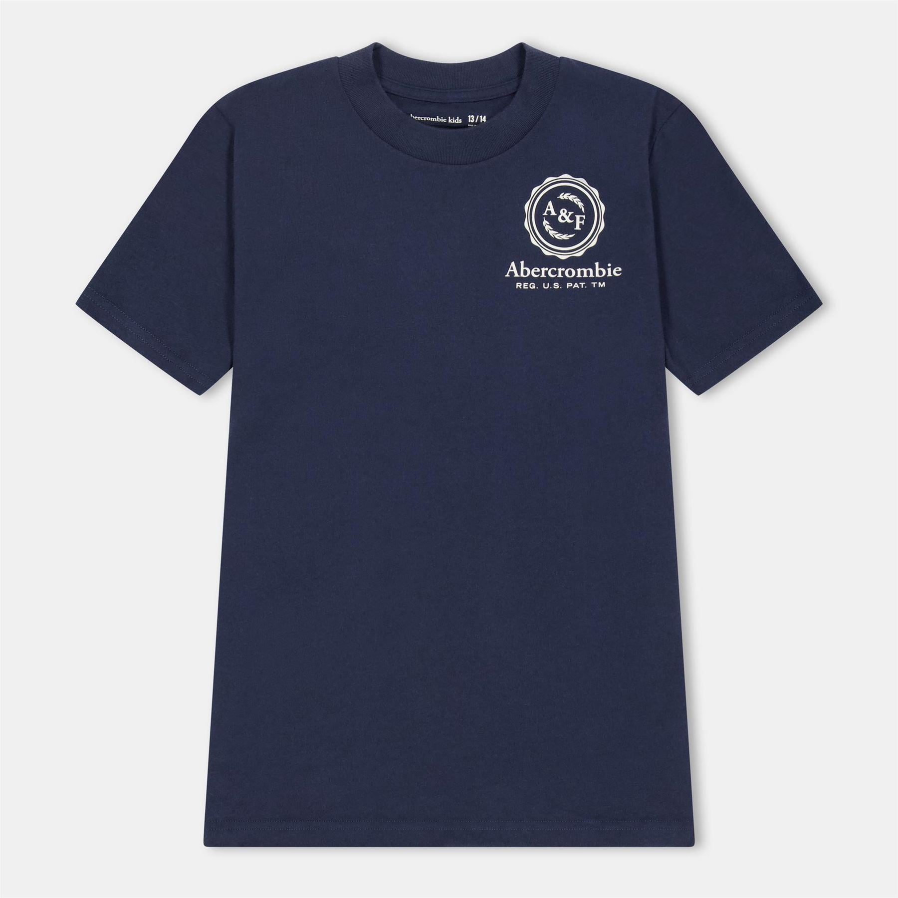 Abercrombie and Fitch And F Foothill Tee Jn54