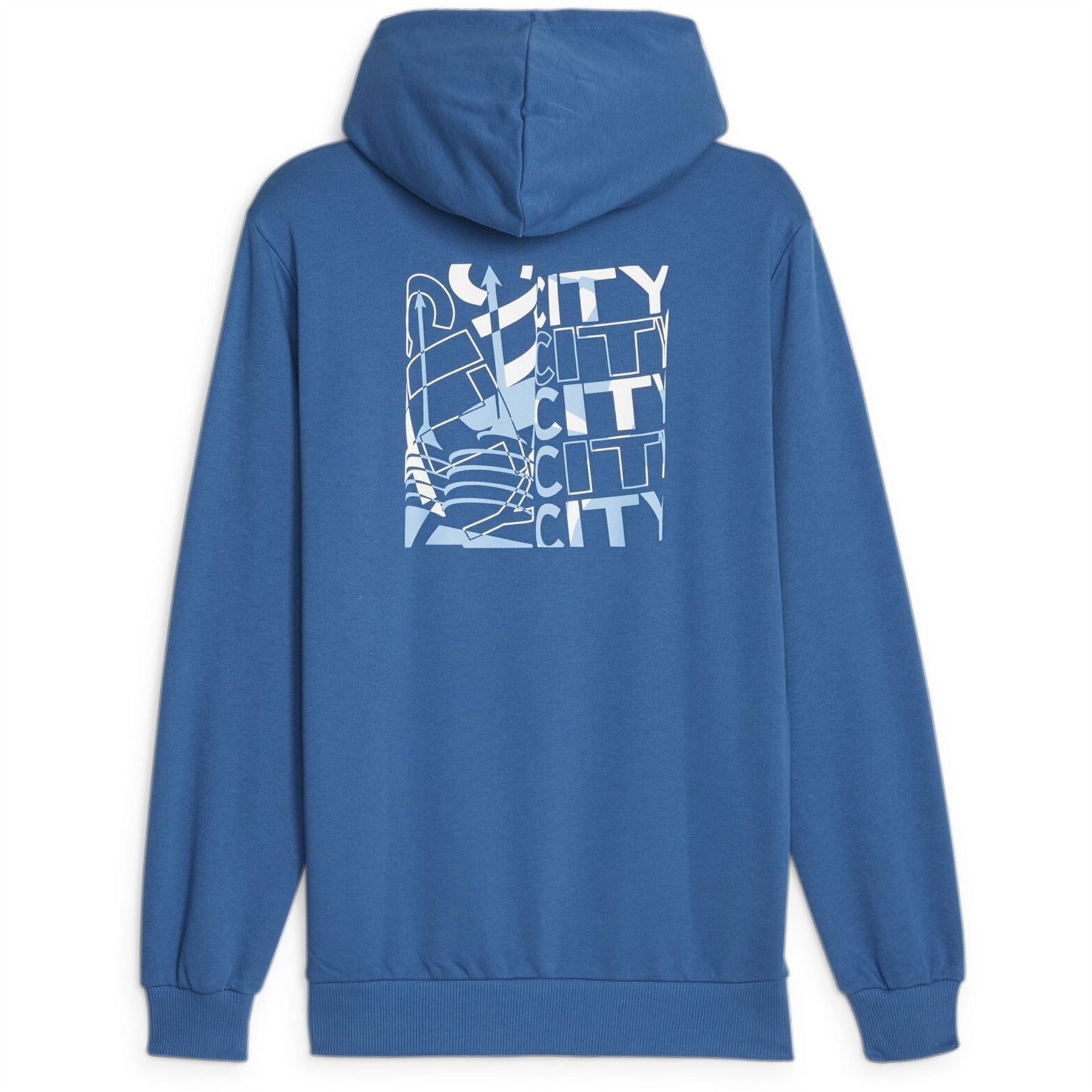 Puma Mens Ftblcore Graphic Hoody