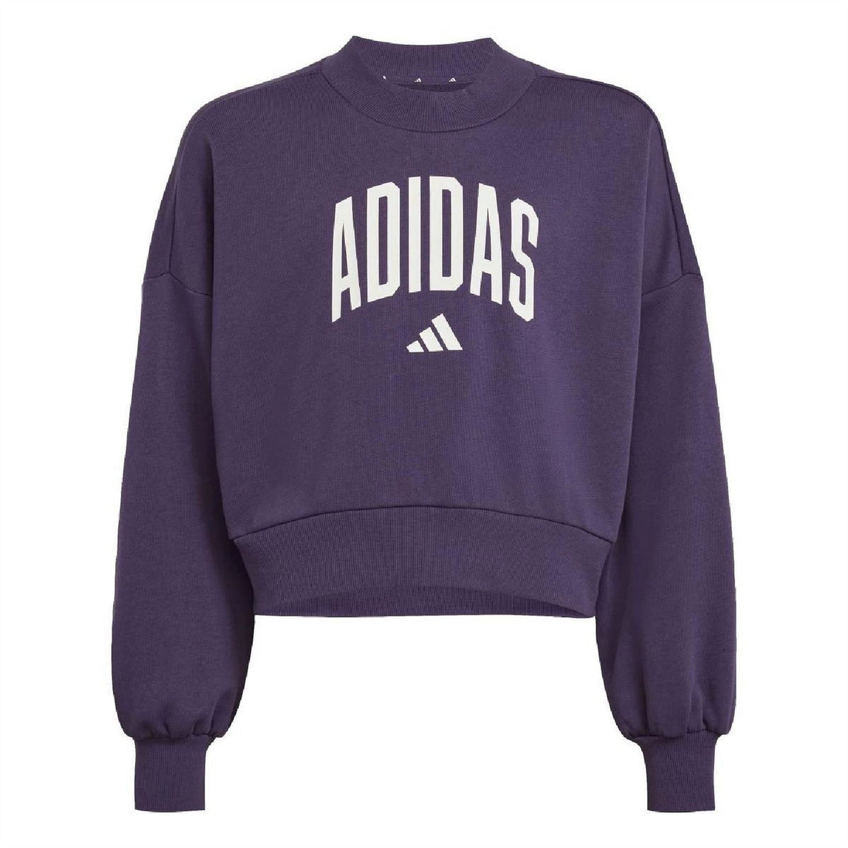adidas Seasonal Essentials Sweatshirt