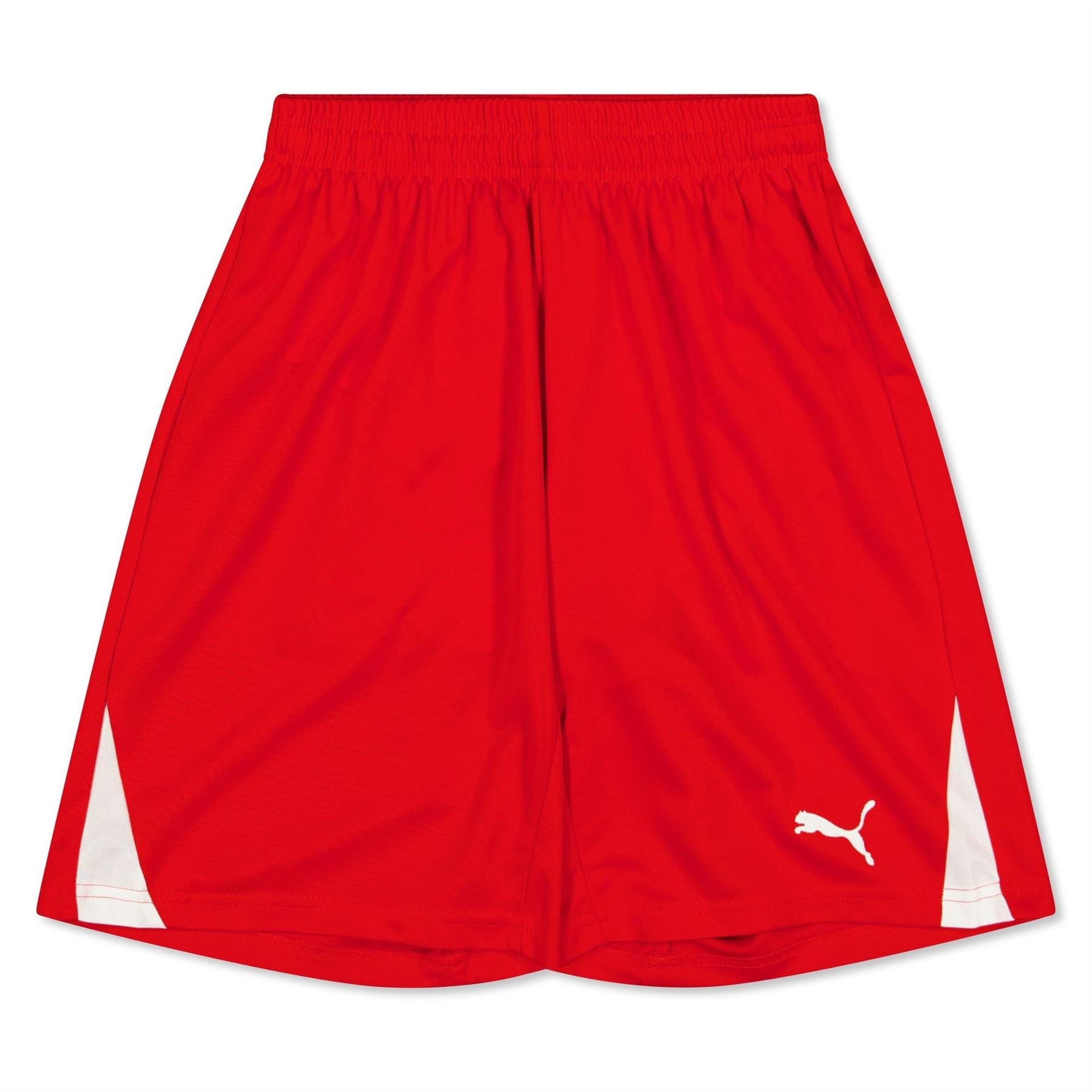 Puma Fb Team Shorts With Brief Juniors