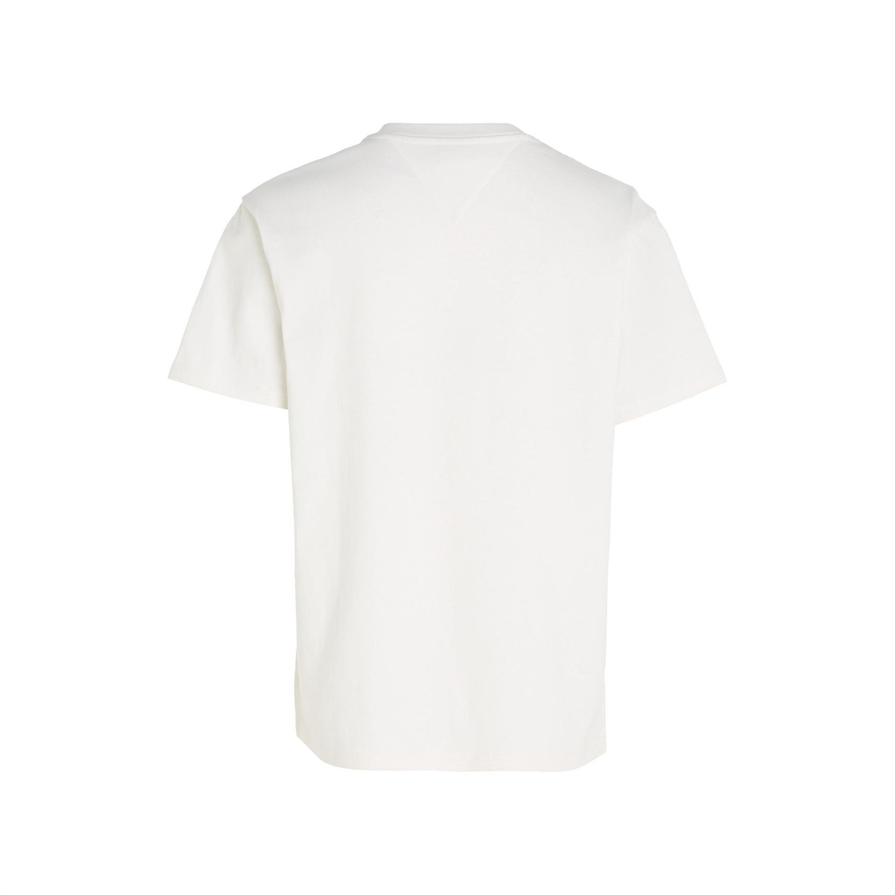 Tommy Jeans Varsity Regular Fit Lettering T-Shirt