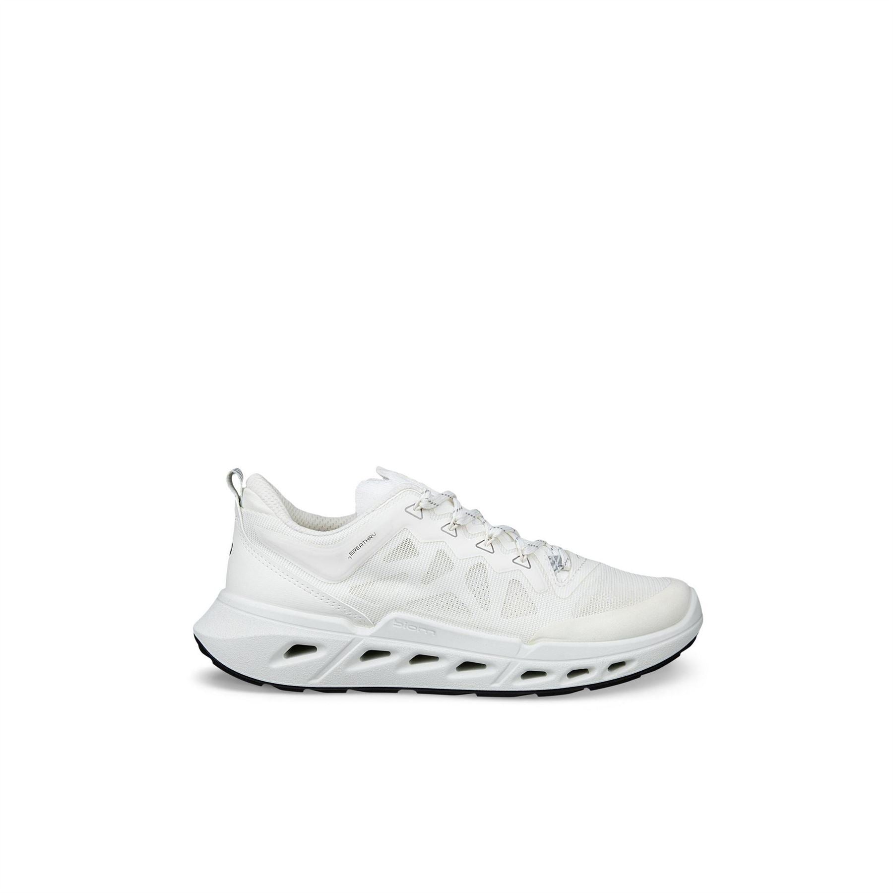 Ecco Biom 720 Ld62