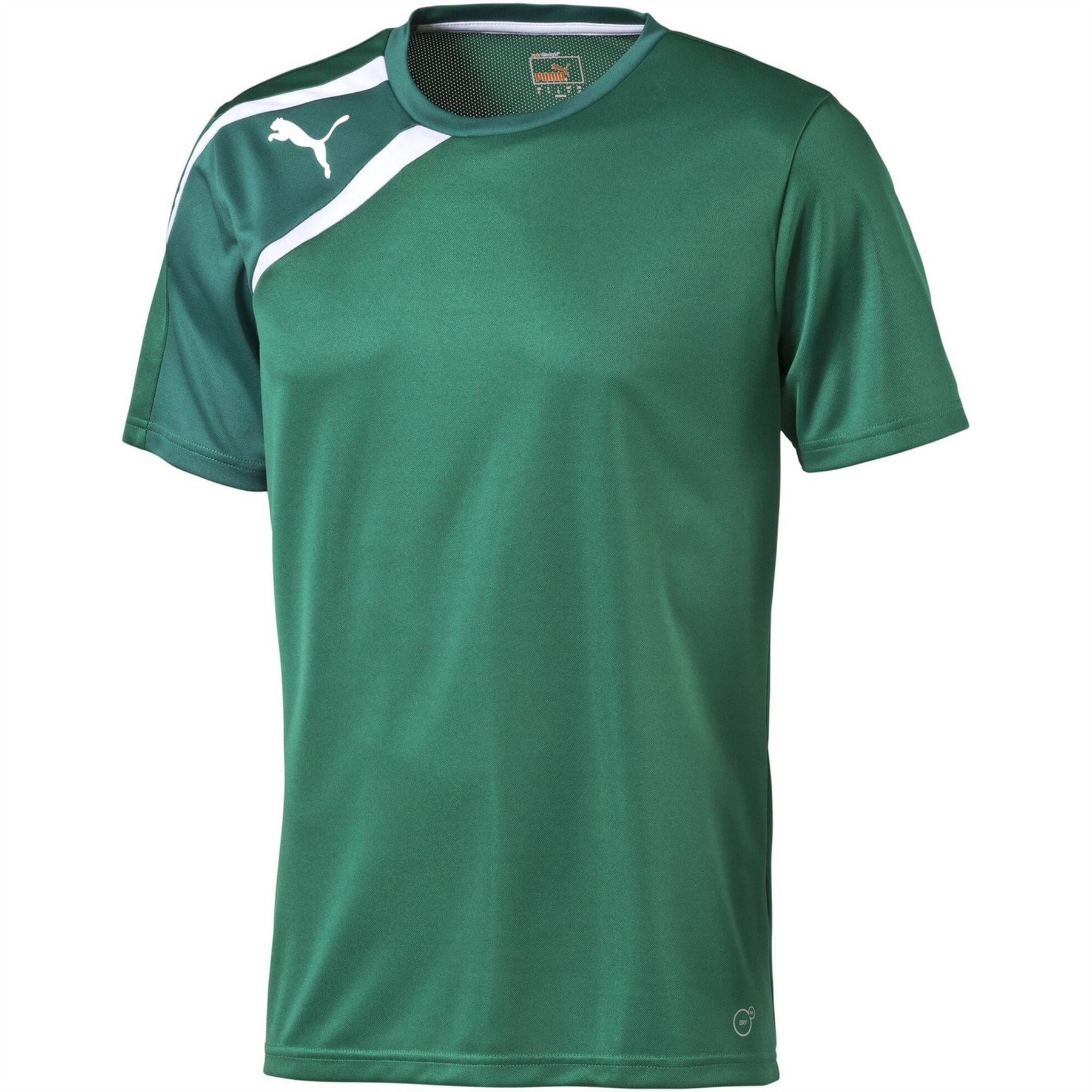 Puma Mens Spirit Training S S Tee