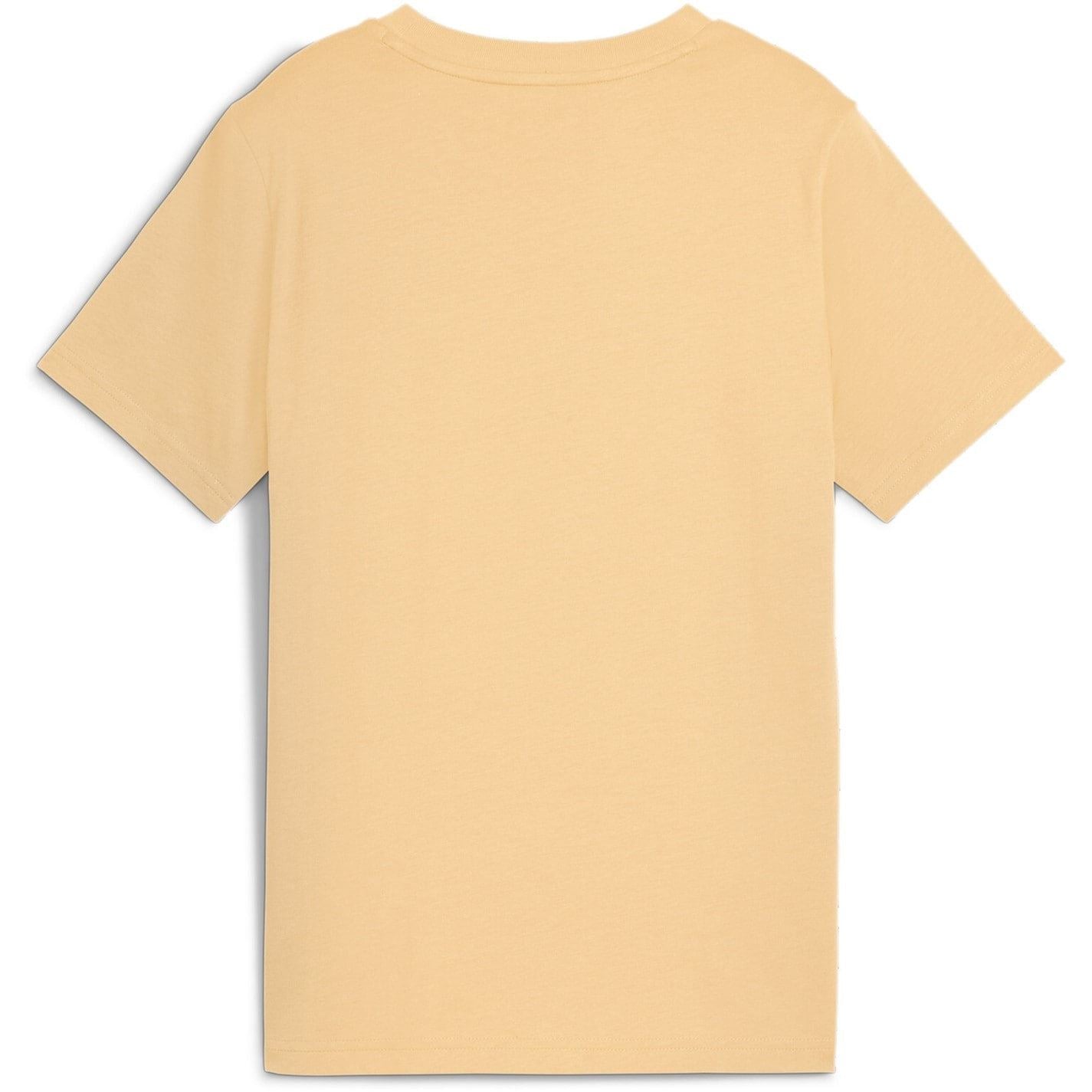 Puma Essentials Graphic Regular Fit T Shirt