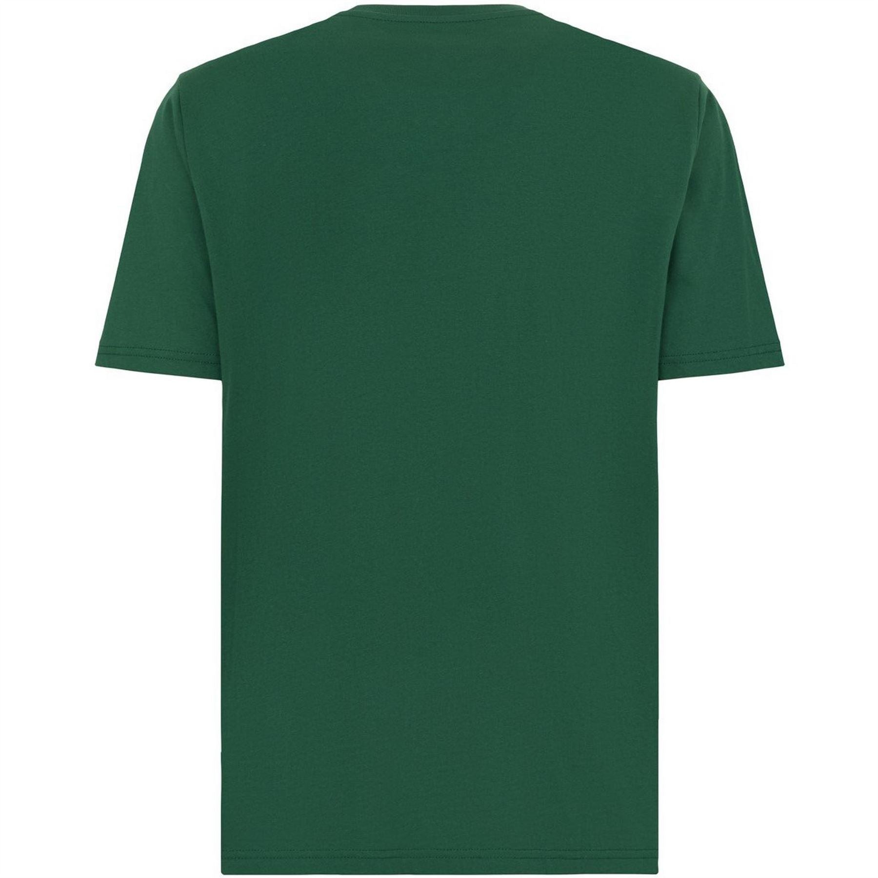 Dickies Regular Fit Mapleton T-Shirt