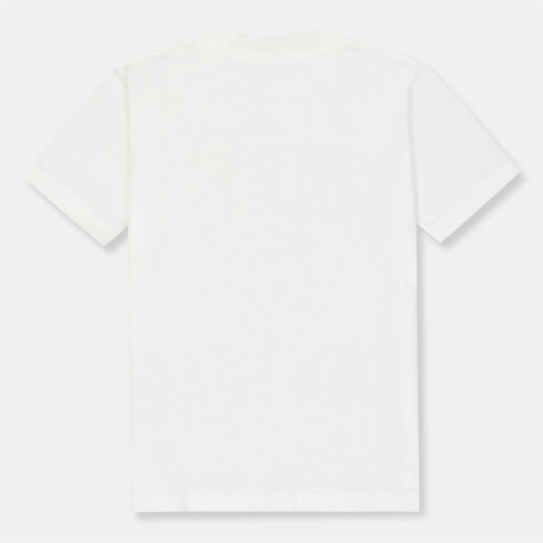 Abercrombie and Fitch League Lettering Crew Neck T-Shirt