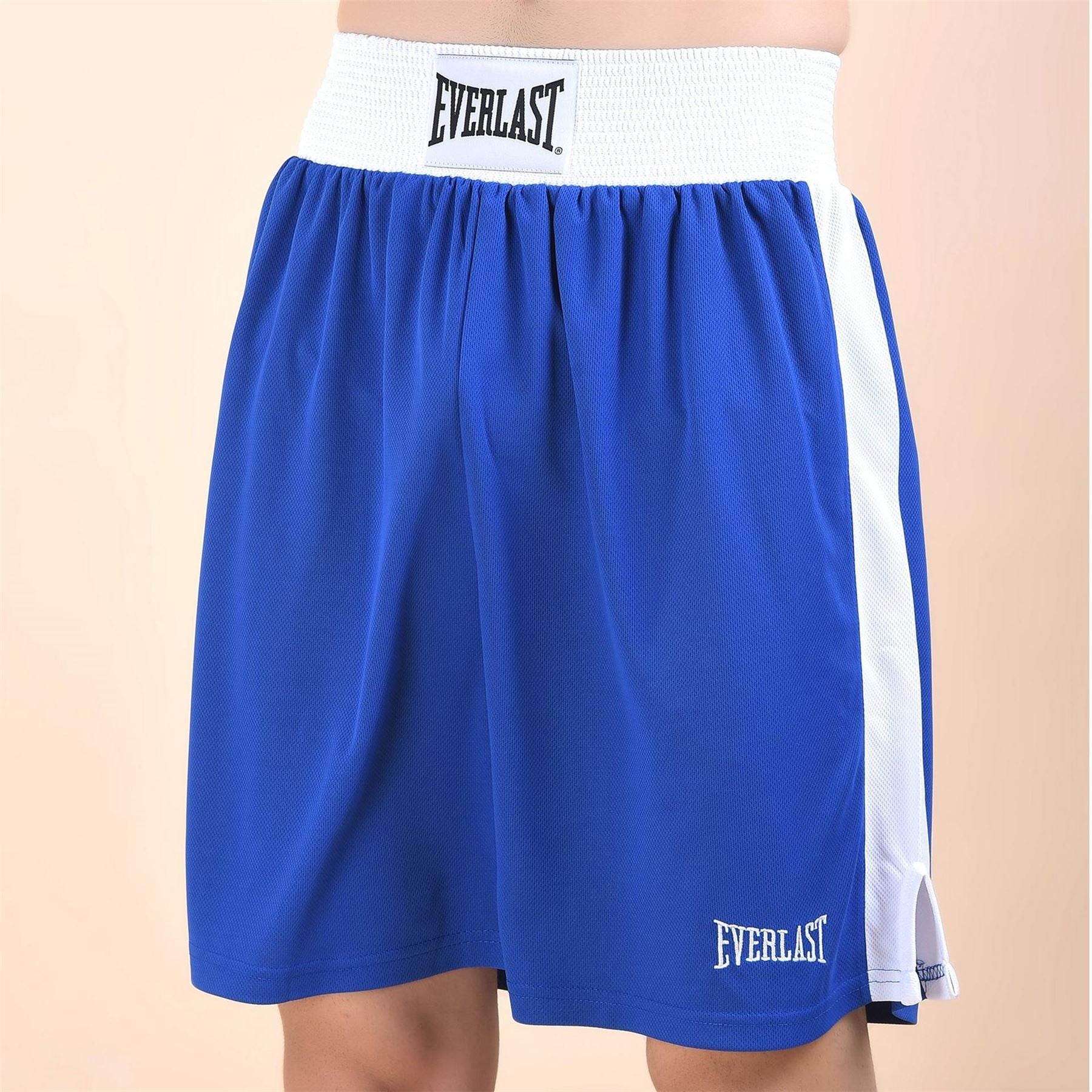 Everlast Boxing Shorts