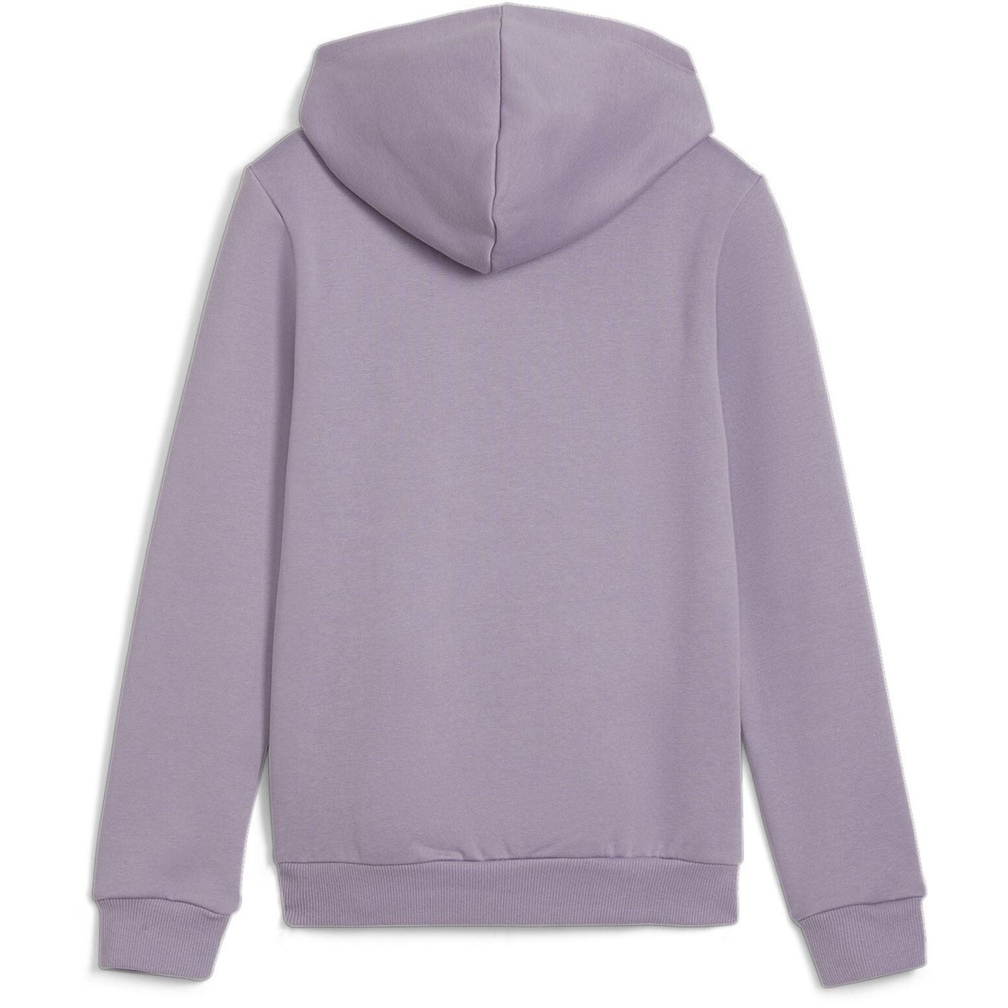 Puma Relaxed Fit Leo Hooded Sweatshirt