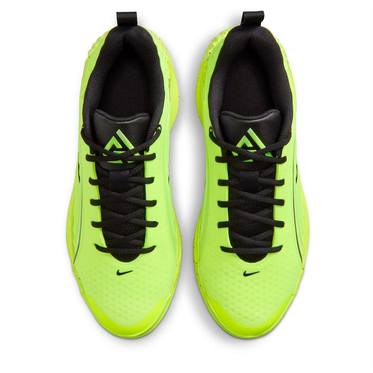 Nike Basketball Trainers