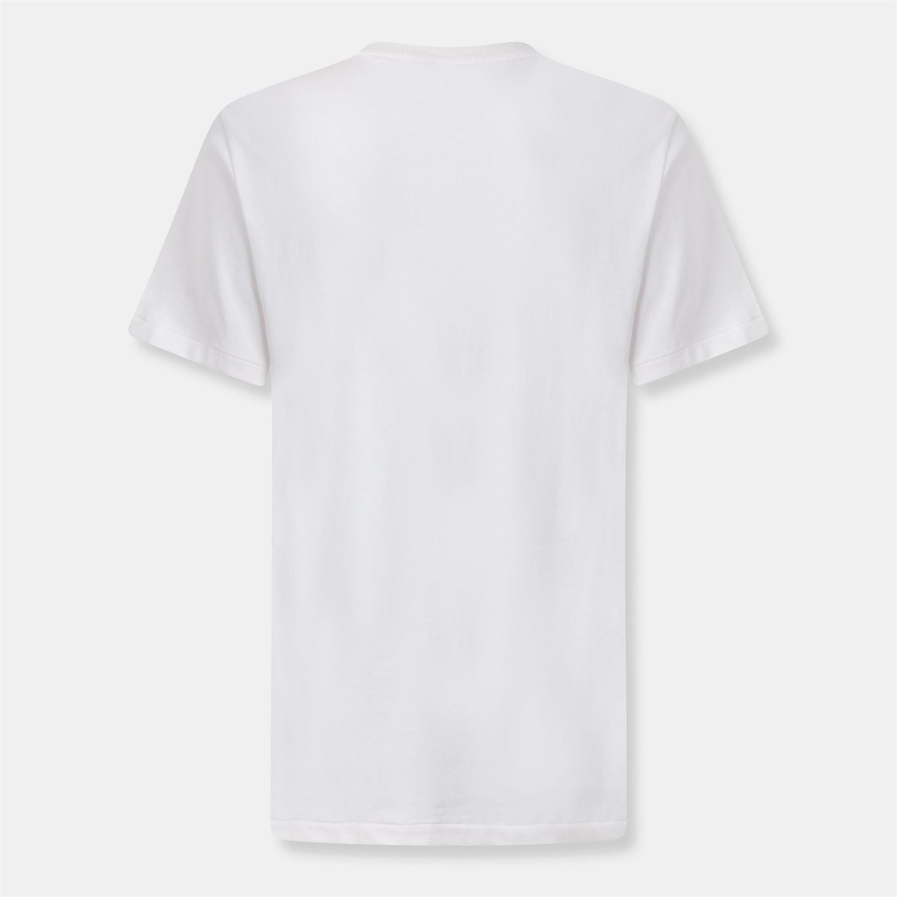 Polo Ralph Lauren Crest Logo Print Regular Fit Crew Neck T-Shirt