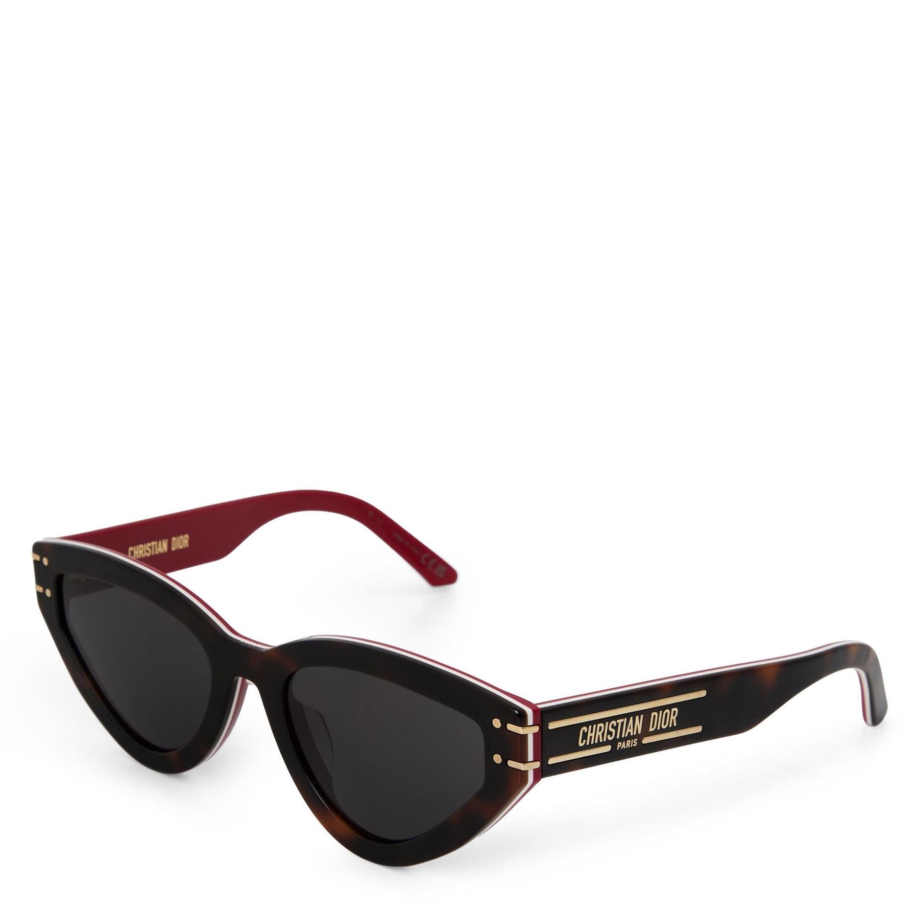 DIOR B2u F sg