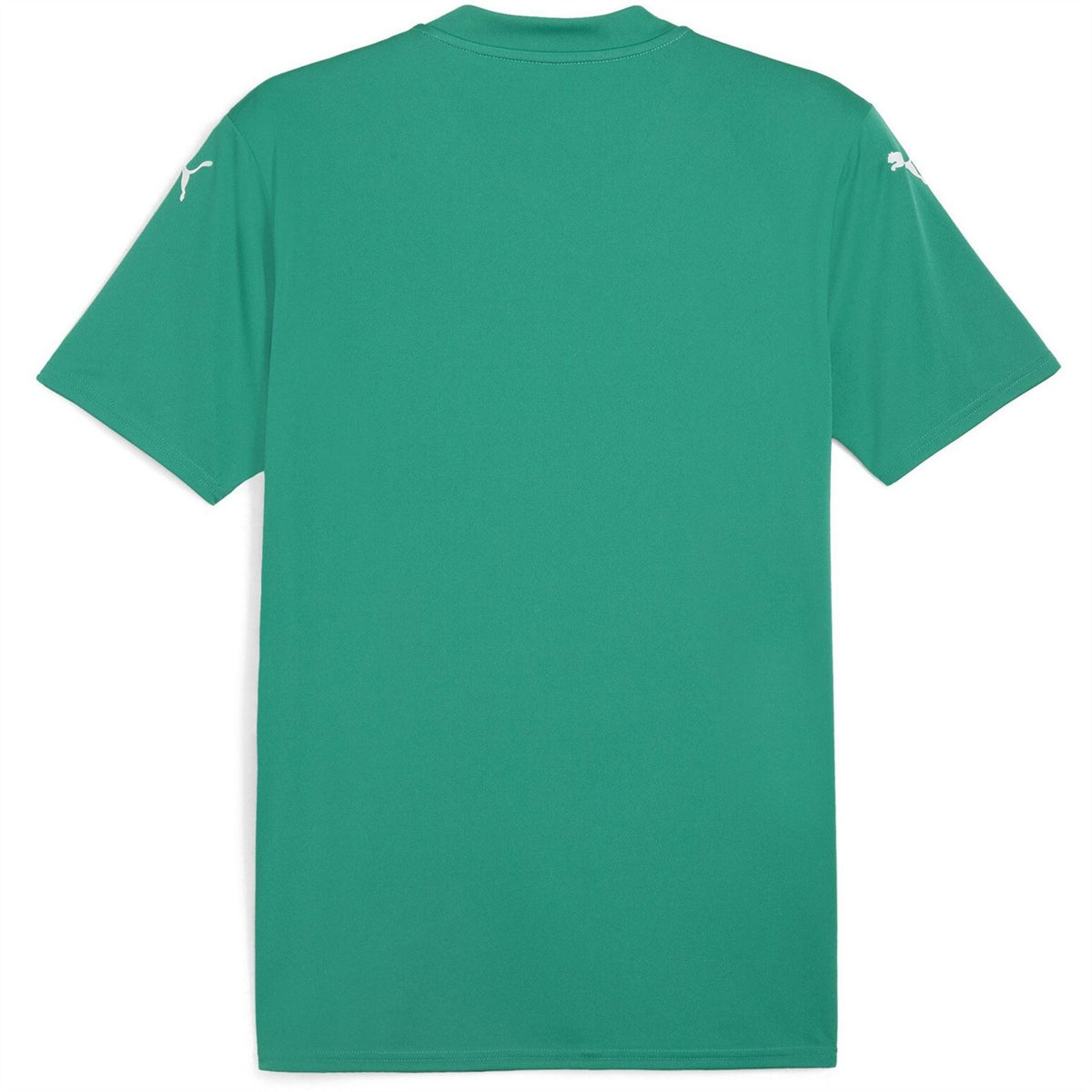 Puma Mens Teamglory Jersey T-Shirt