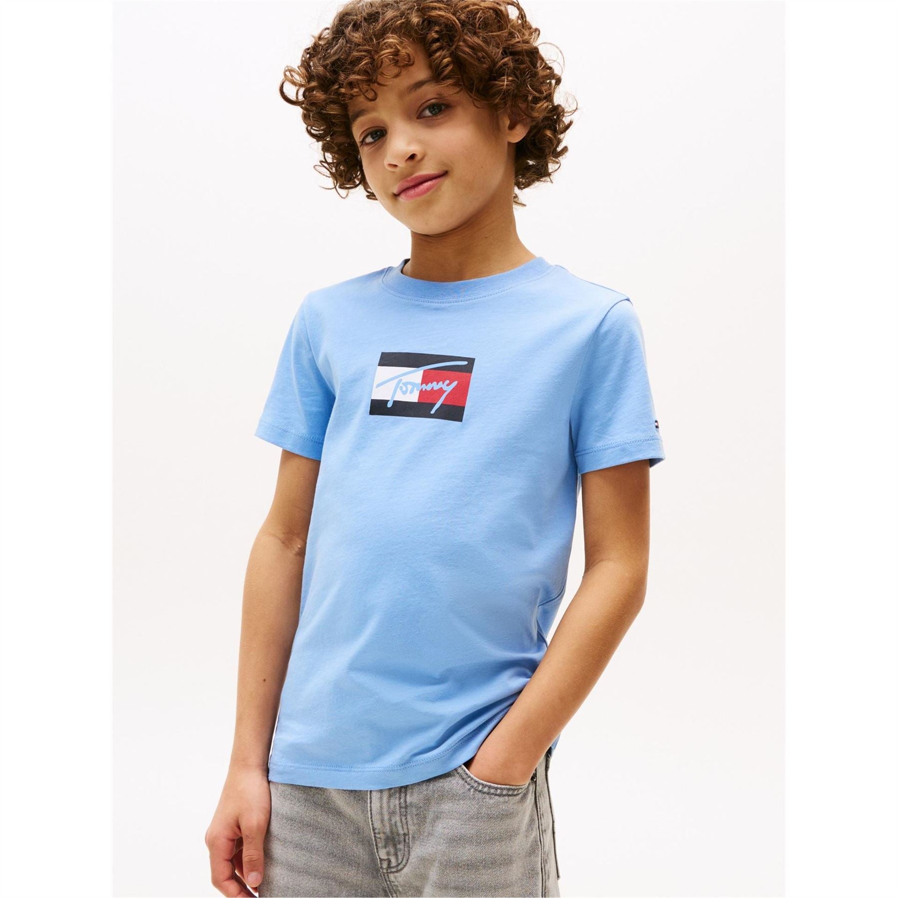 Tommy Hilfiger Script Timmy Regular Fit Short Sleeve T-Shirt