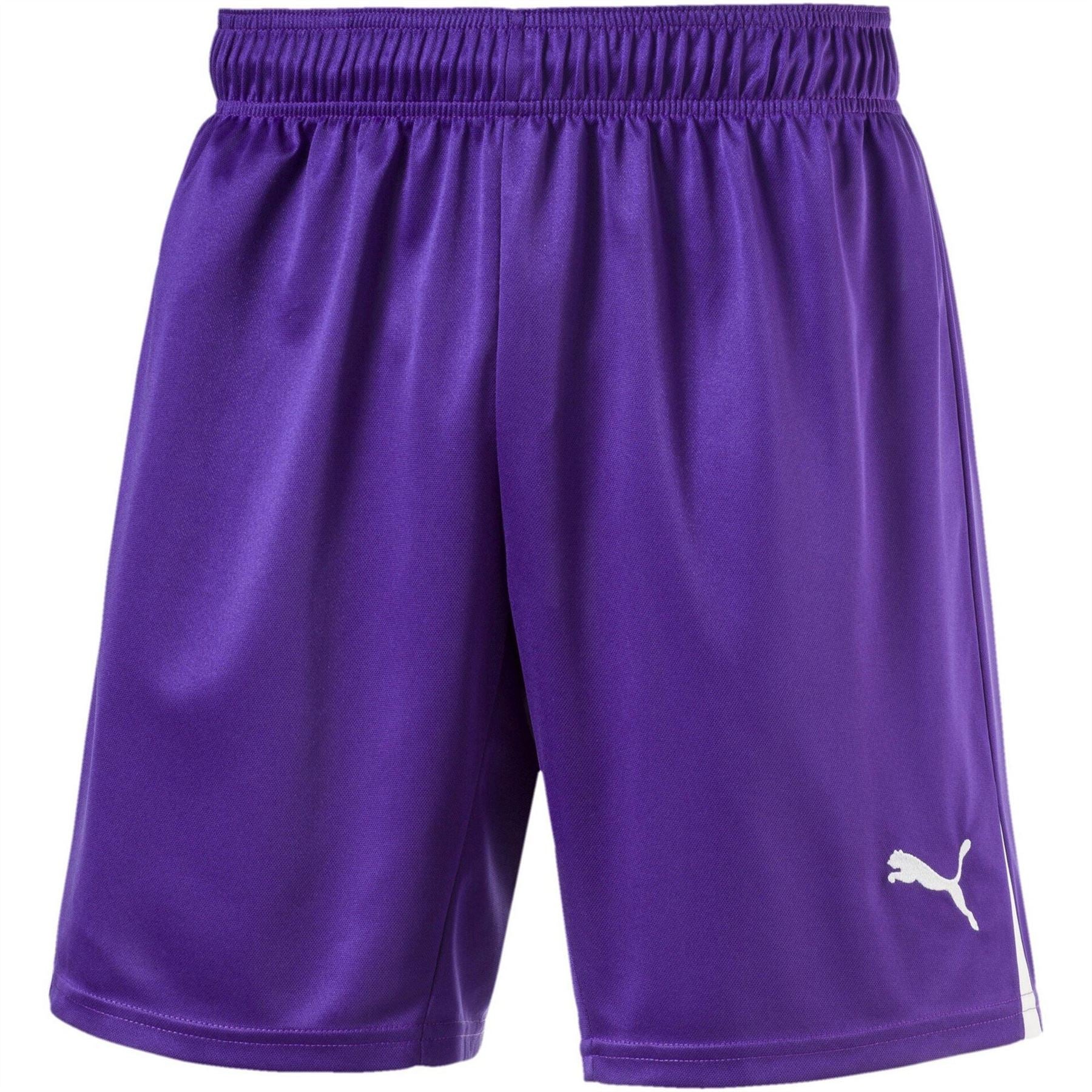 Puma (fb) Boy Team Shorts Juniors