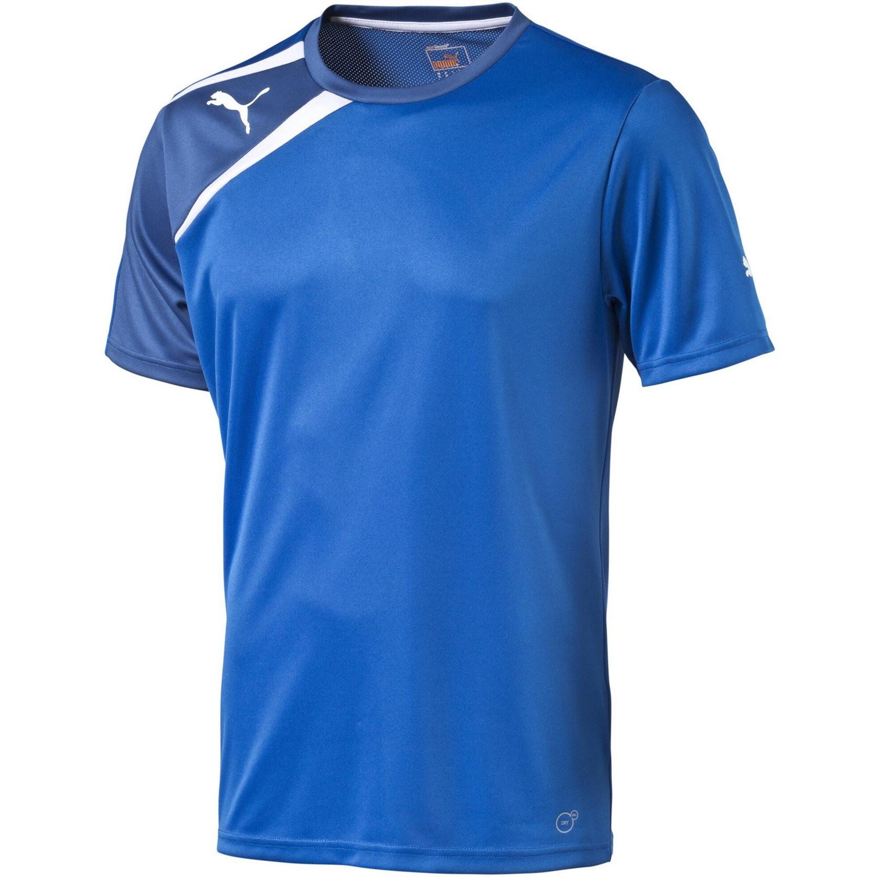 Puma Mens Spirit Training S S Tee