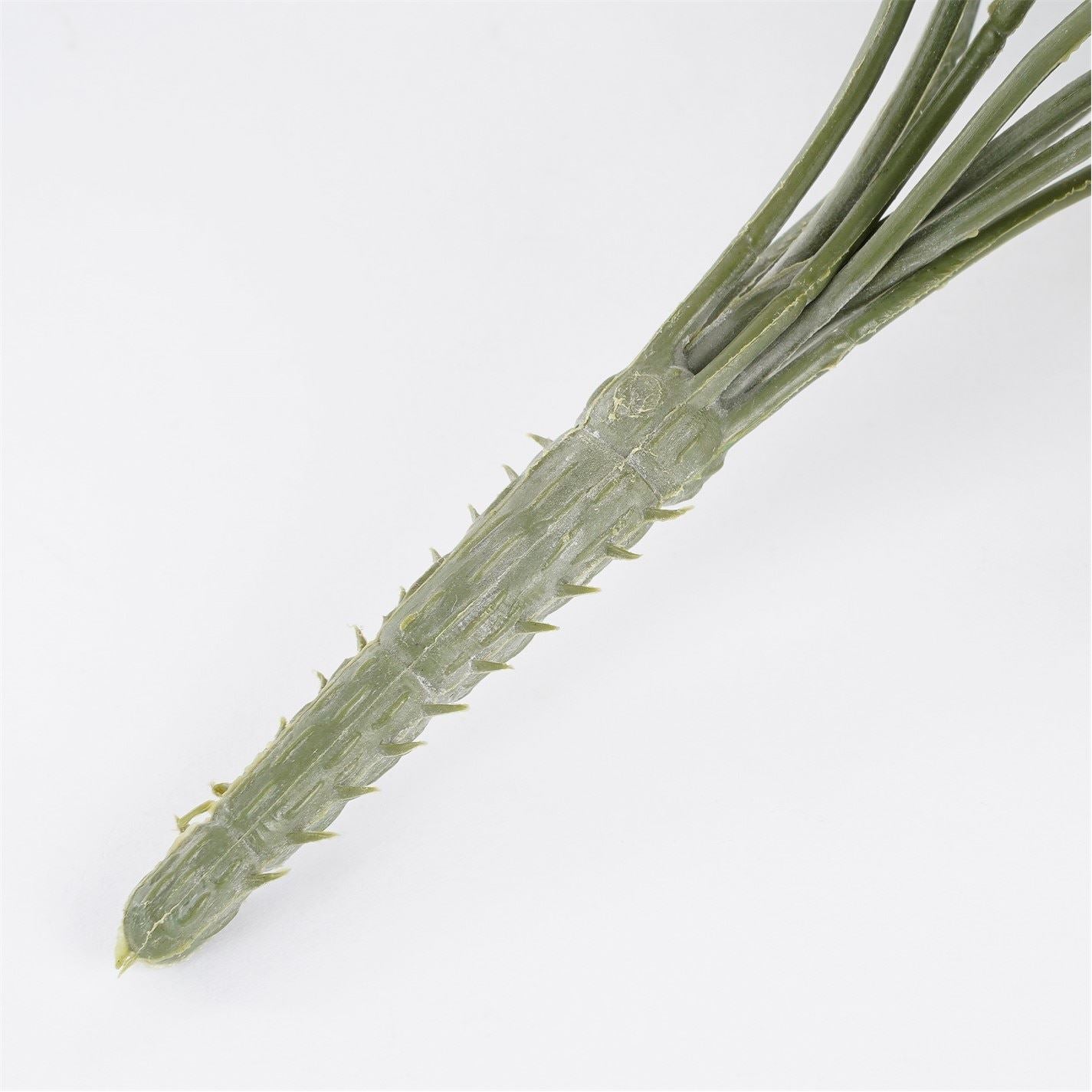 Mica Citronella Hanging Green