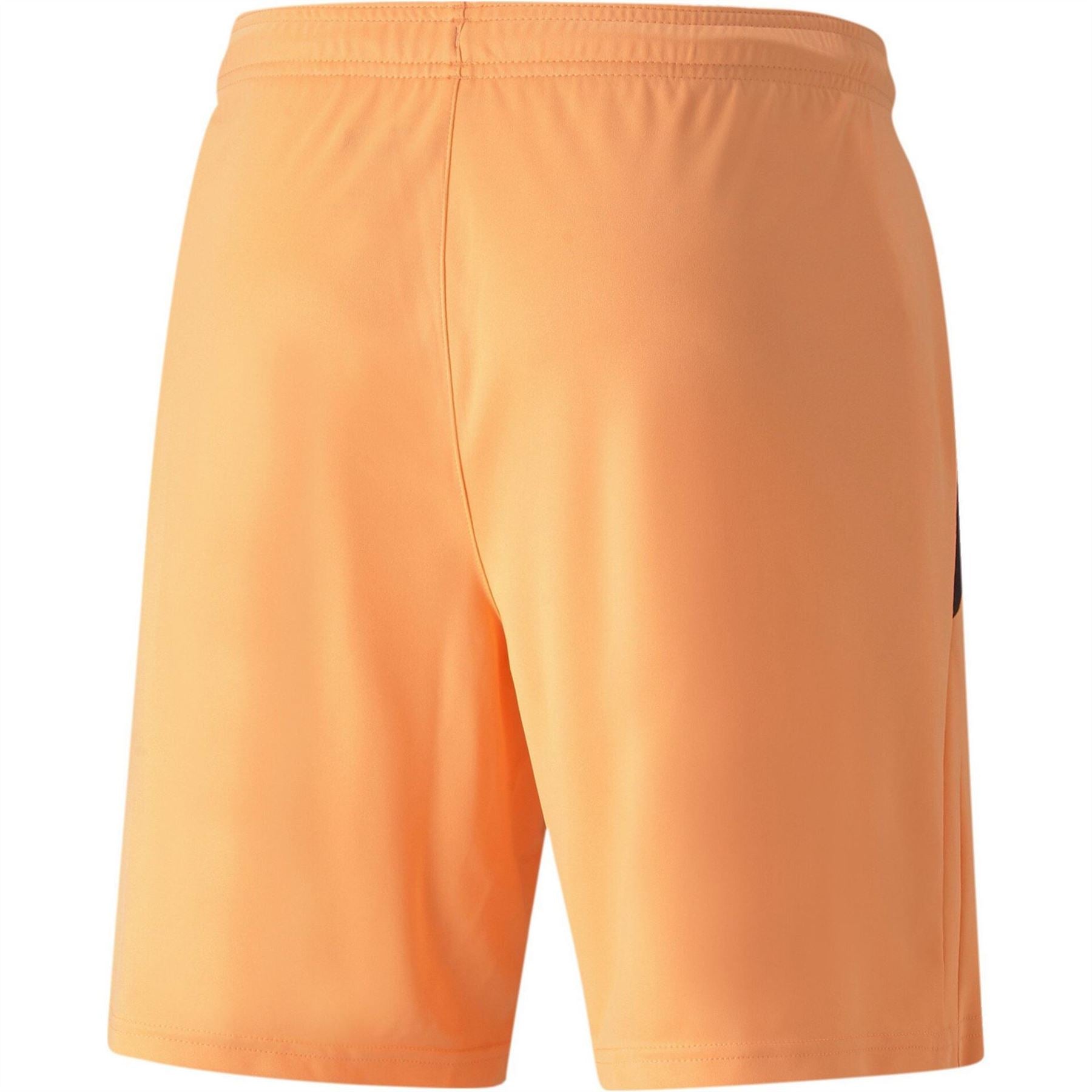Puma Mens Teamliga Shorts Football Shorts