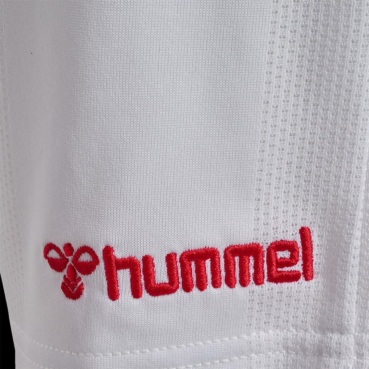 Hummel Denmark International Football Shorts