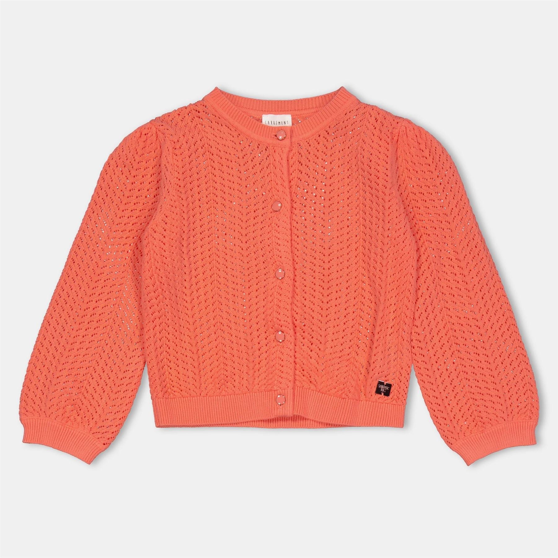 Carrement Beau Cardigan