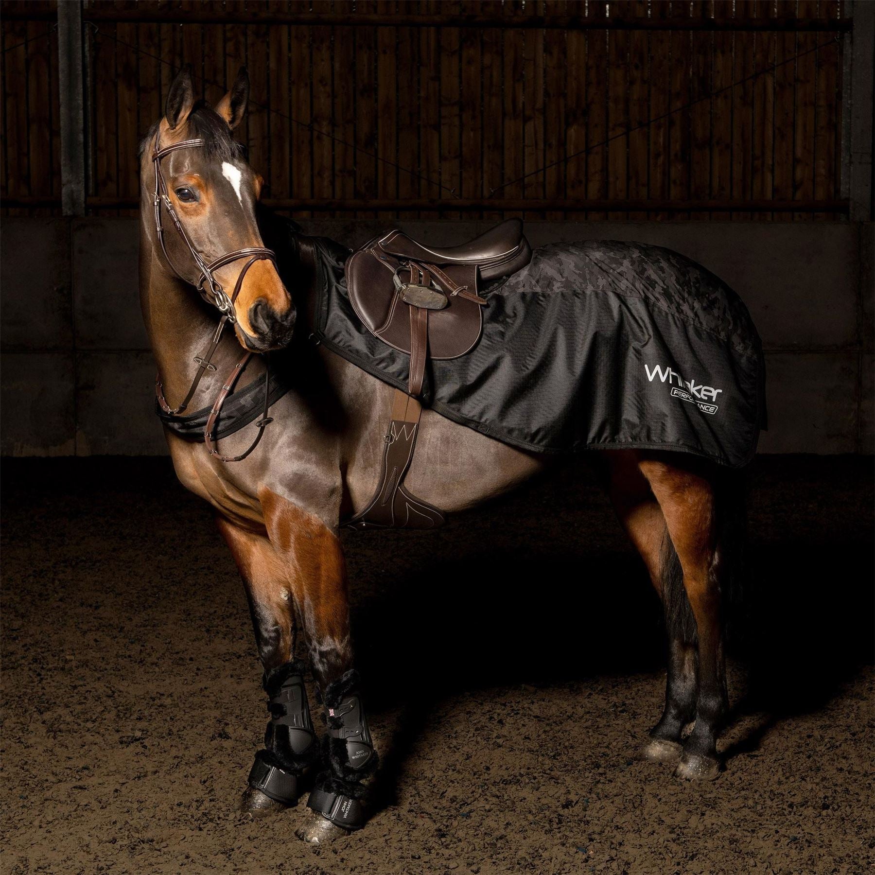 John Whitaker Sydney Exsheet