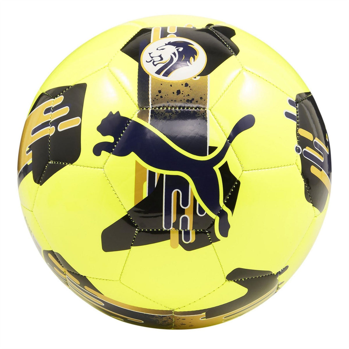 Puma Orbita 6 Spfl Football 2024 2025