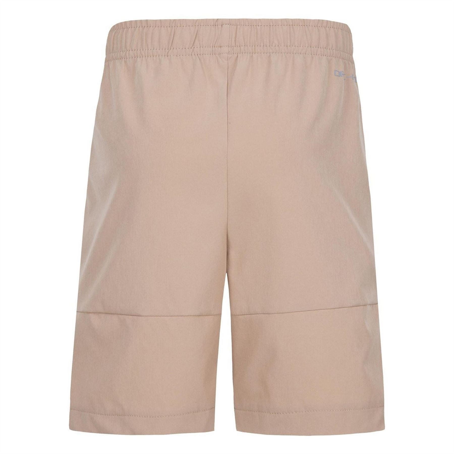 Nike Rays Woven Shorts