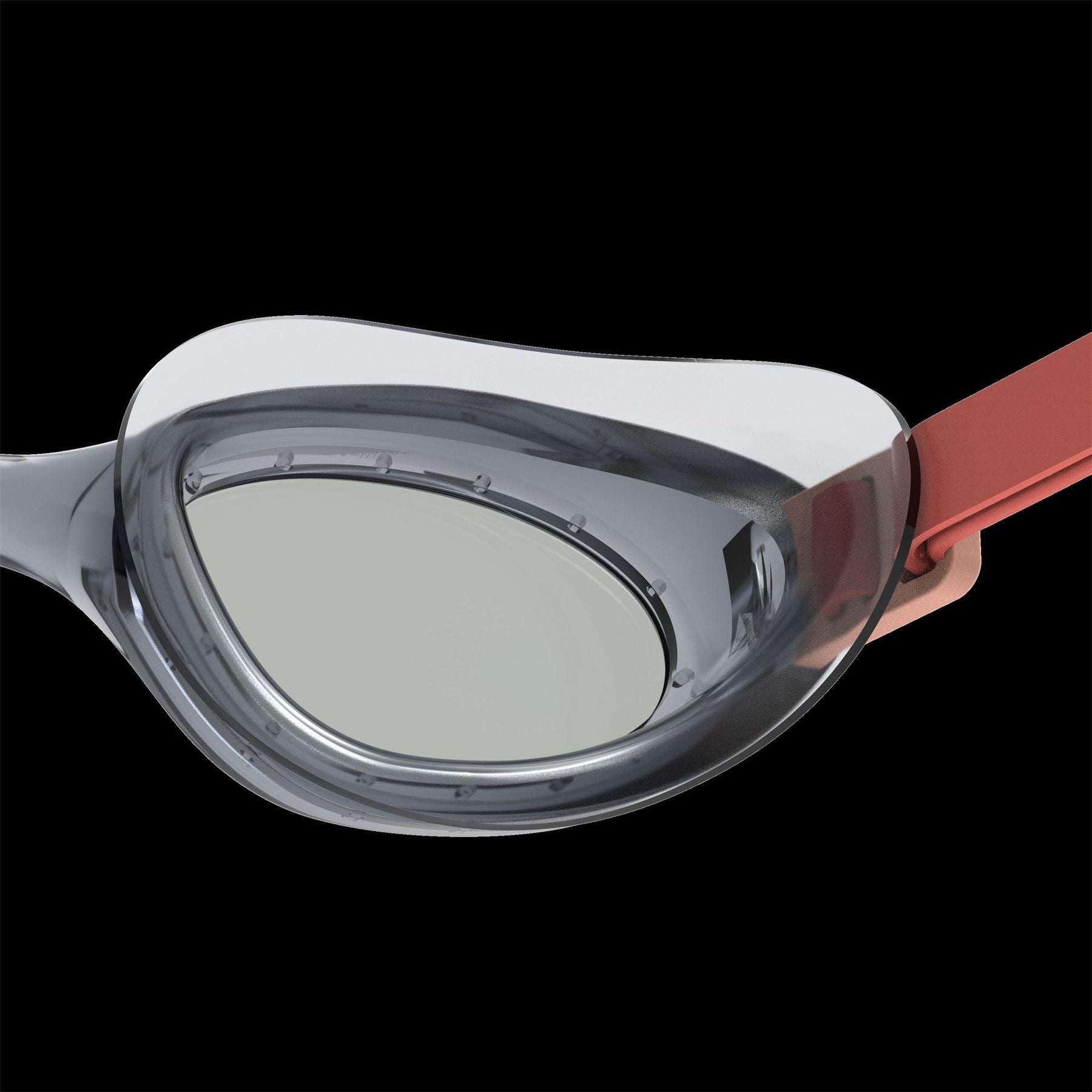 Speedo Goggles