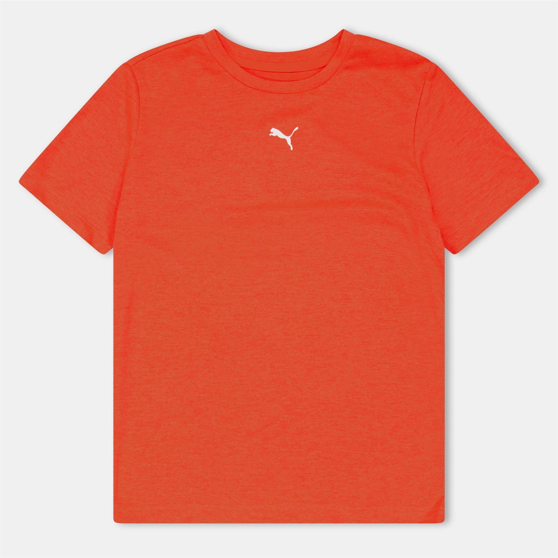 Puma Train Crew Neck Regular Fit Athletic T-Shirt