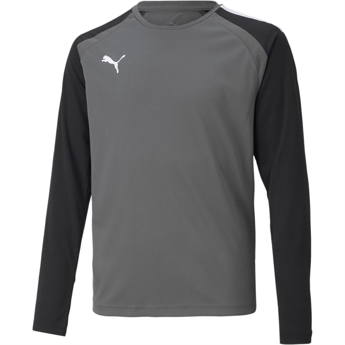 Puma Teampacer Gk Ls Jersey Jr Goalkeeper Top Unisex Kids