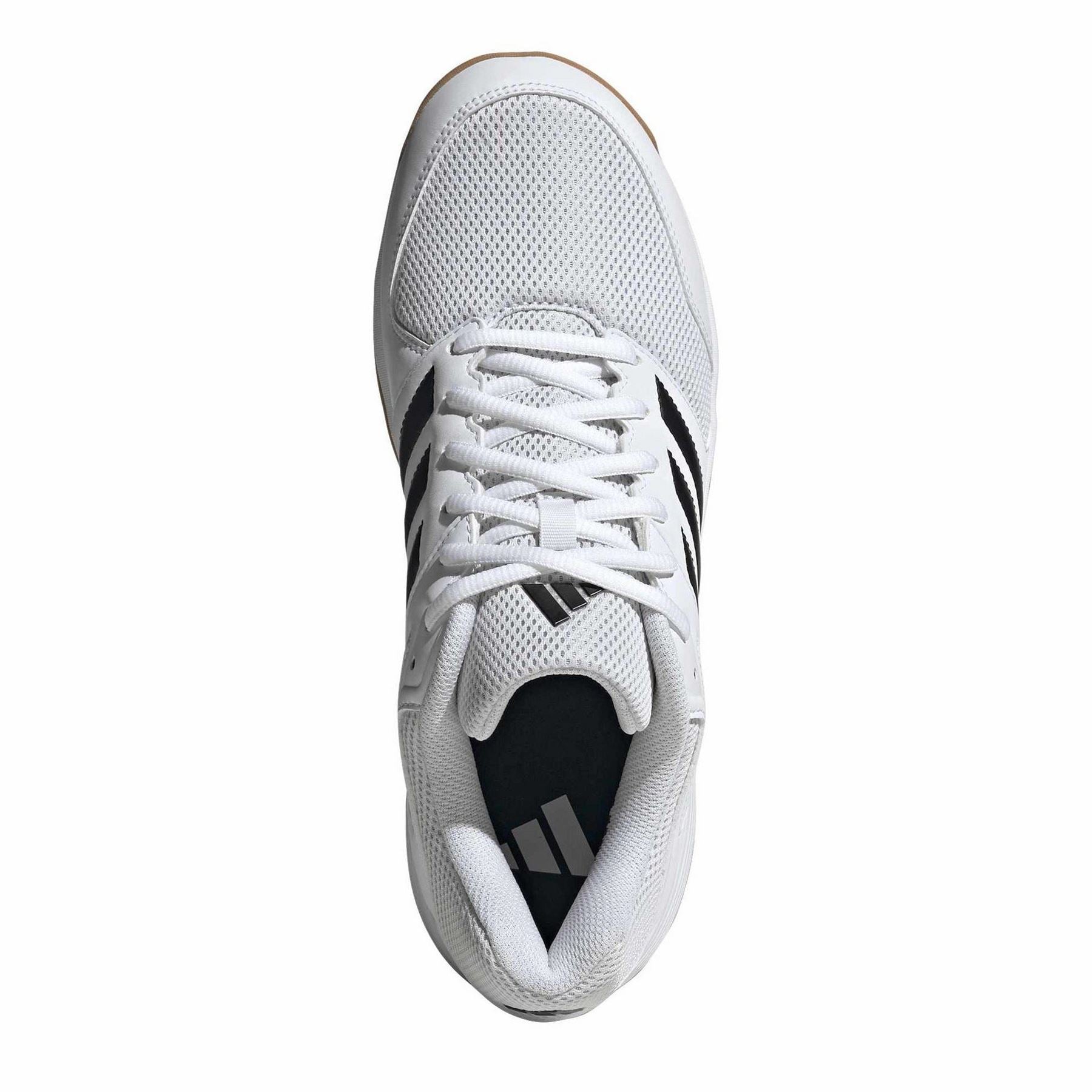 adidas Speedcourt M