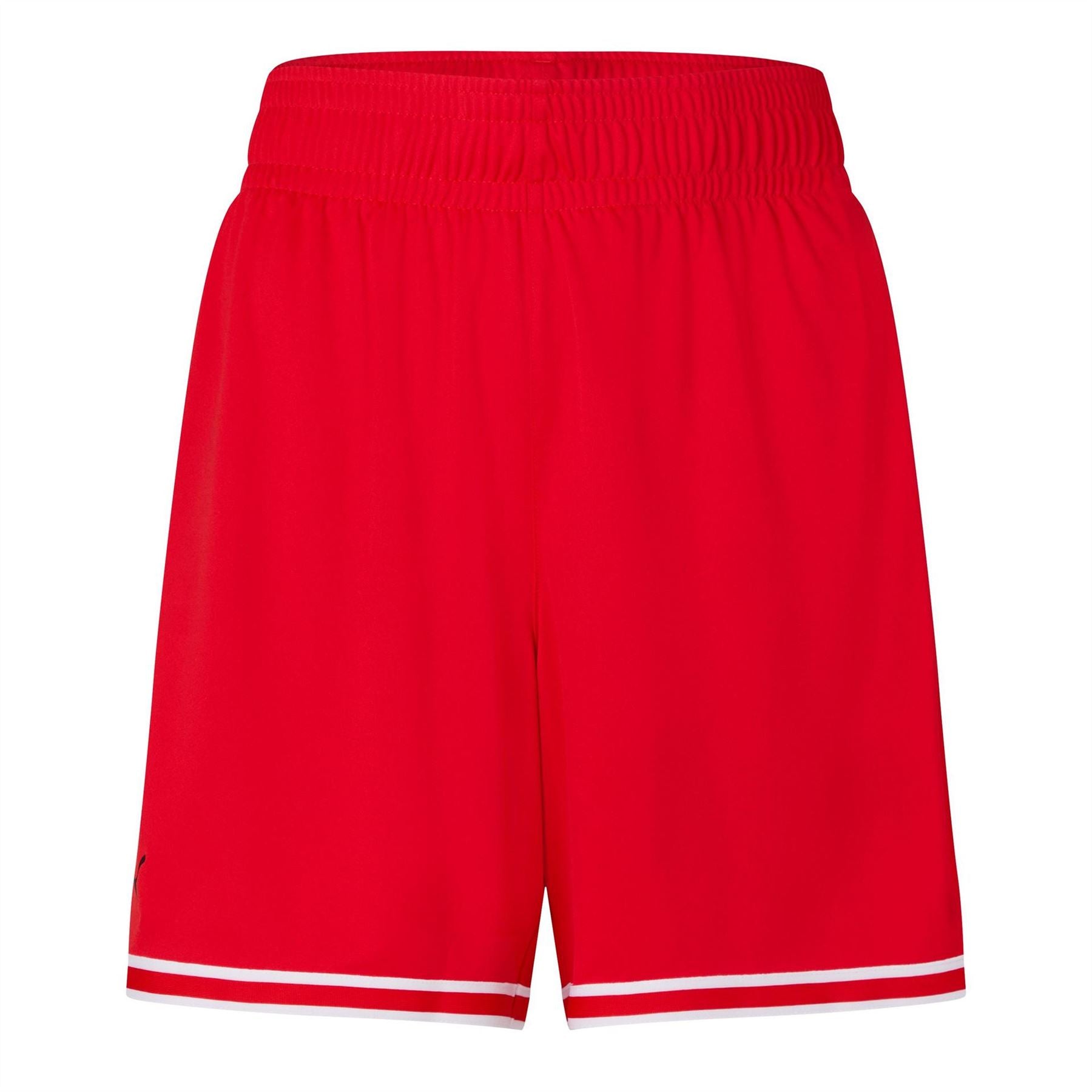 Puma Hoops Team Game Performance Hoodie