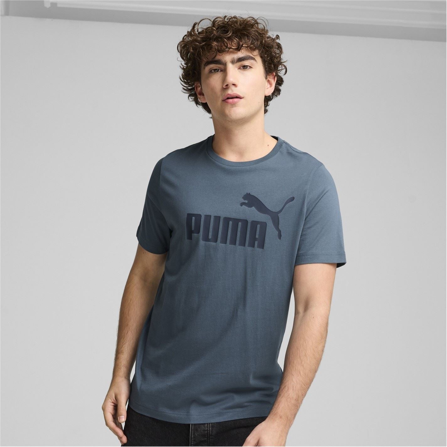 Puma Ess Logo Crew Neck Short Sleeve T-Shirt