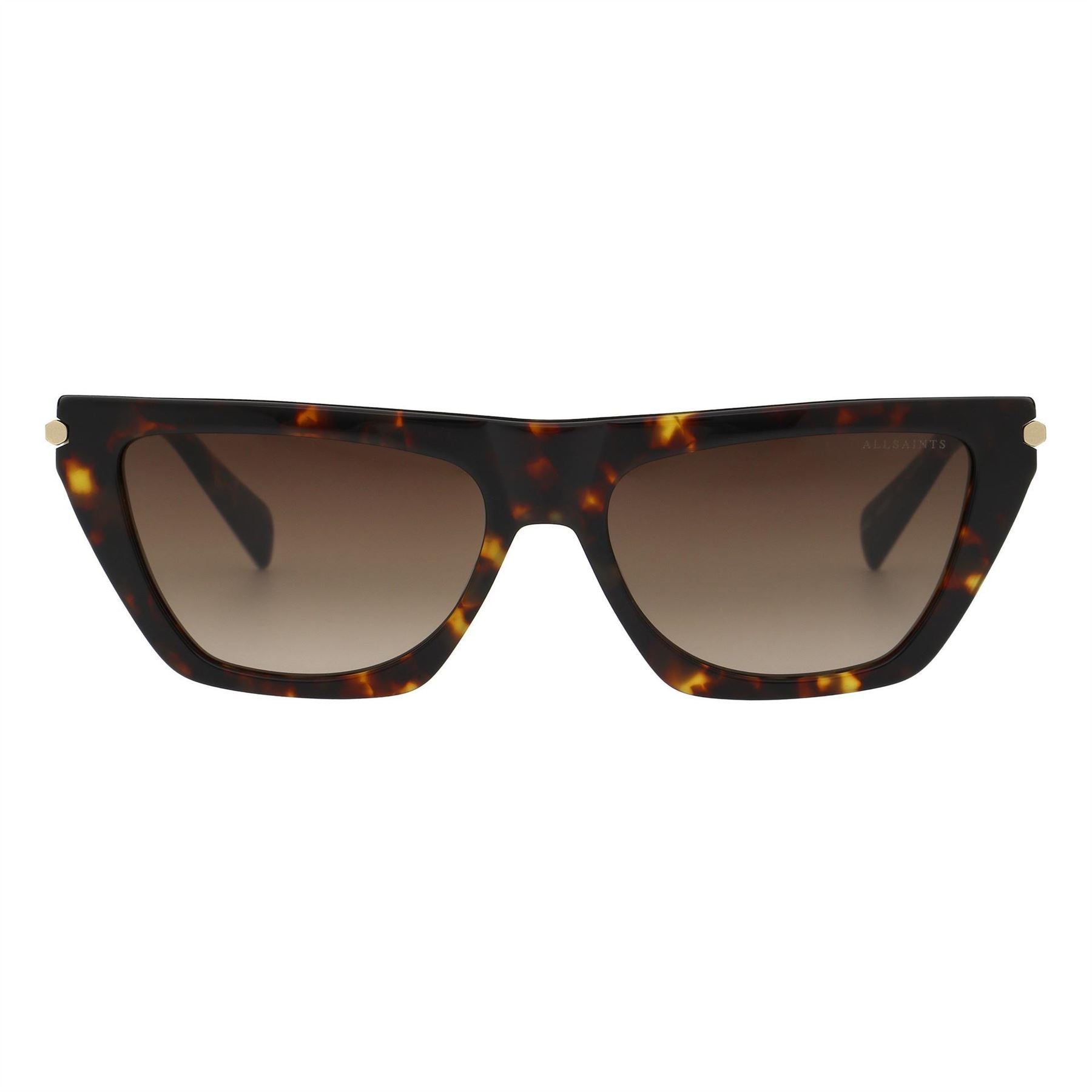 AllSaints Minka Cat Eye Full Rim Sunglasses