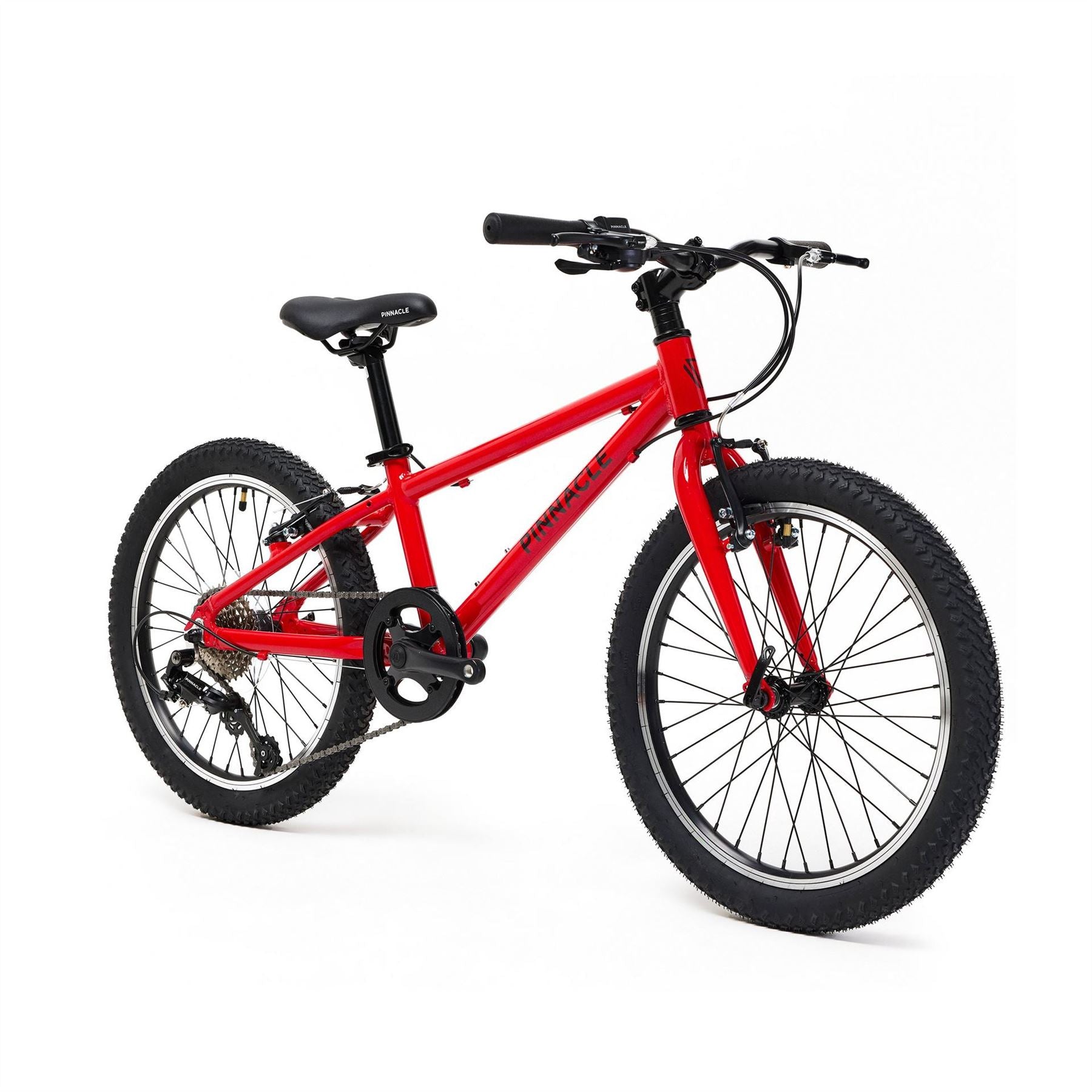 Pinnacle Ash 20 Inch Kids Bike