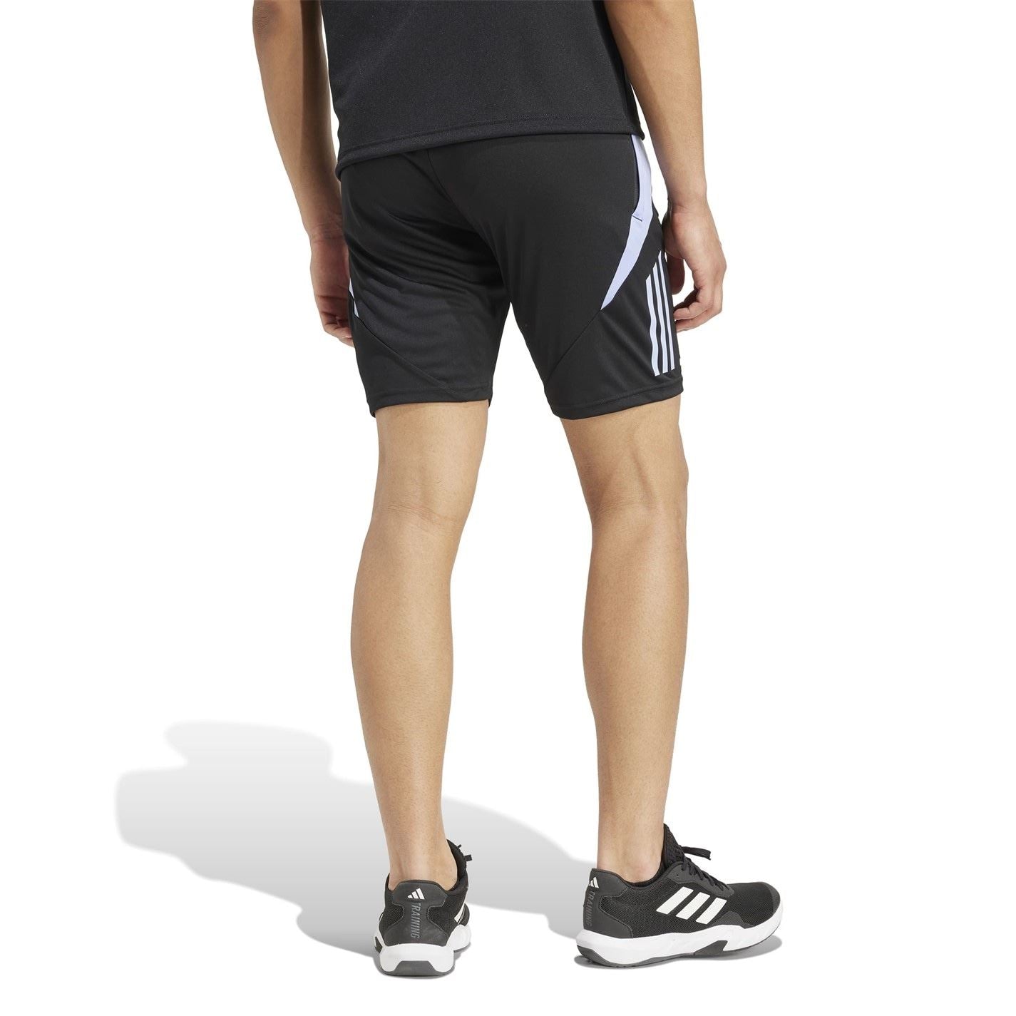 adidas All Blacks Gym Shorts 2024 Adults