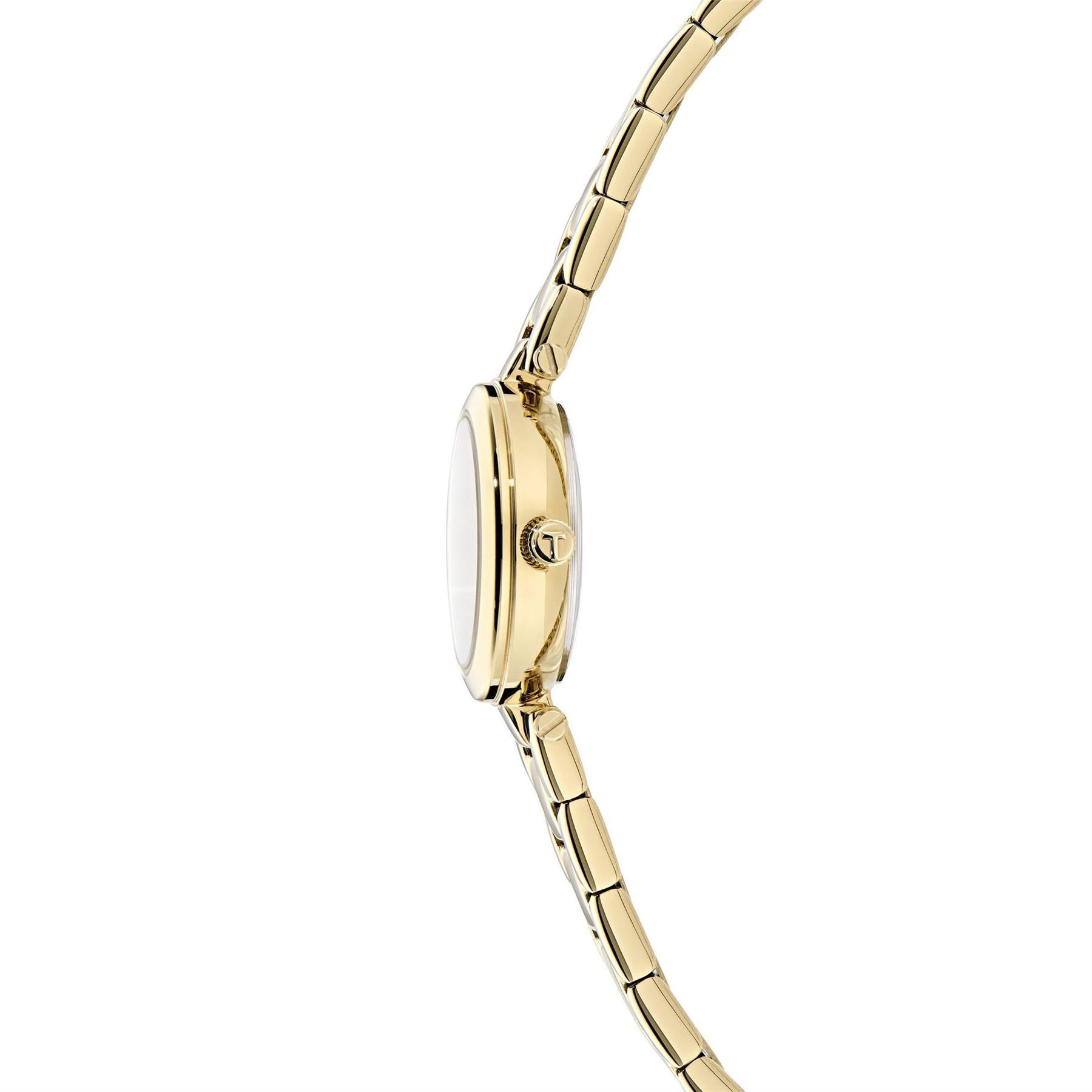 Ted Baker Quartz Analogue Watch
