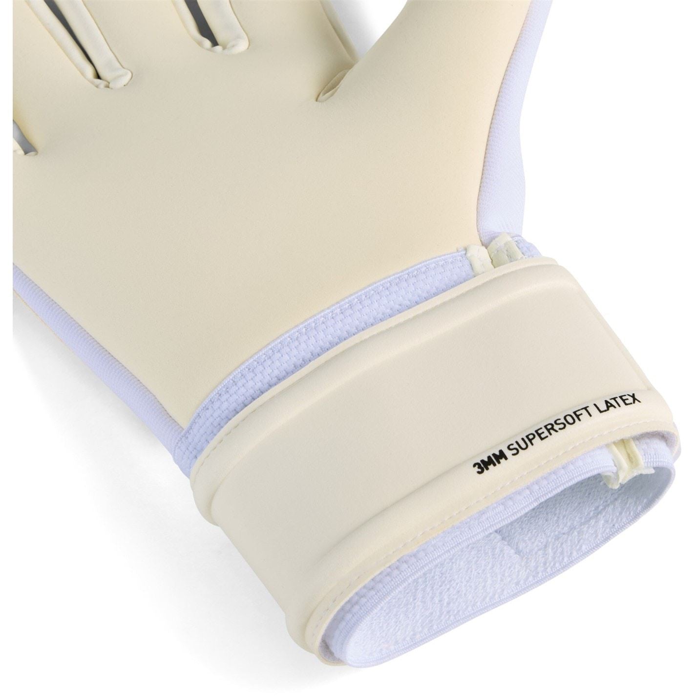 Puma Future Match Goalkeeper Gloves Adults